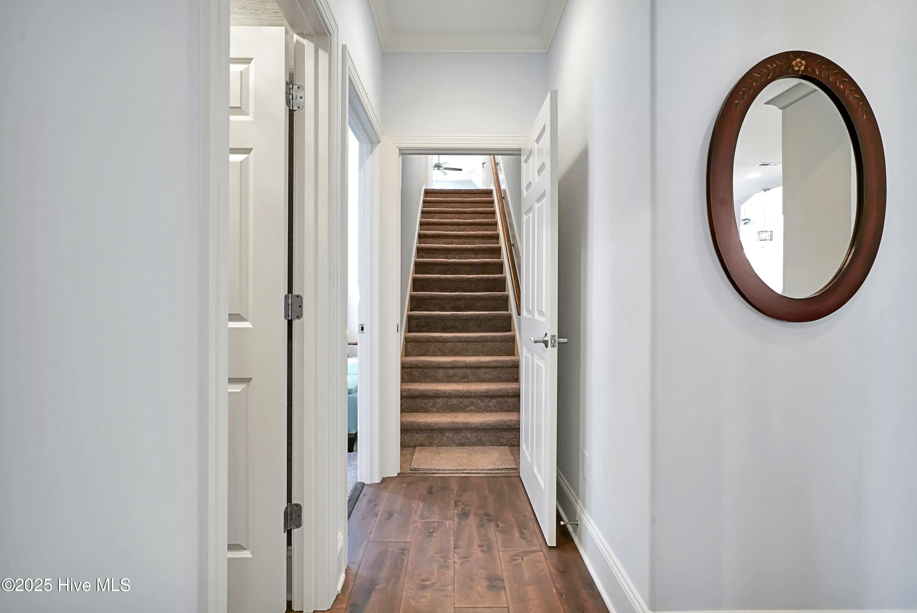 100557169 | Photo 38