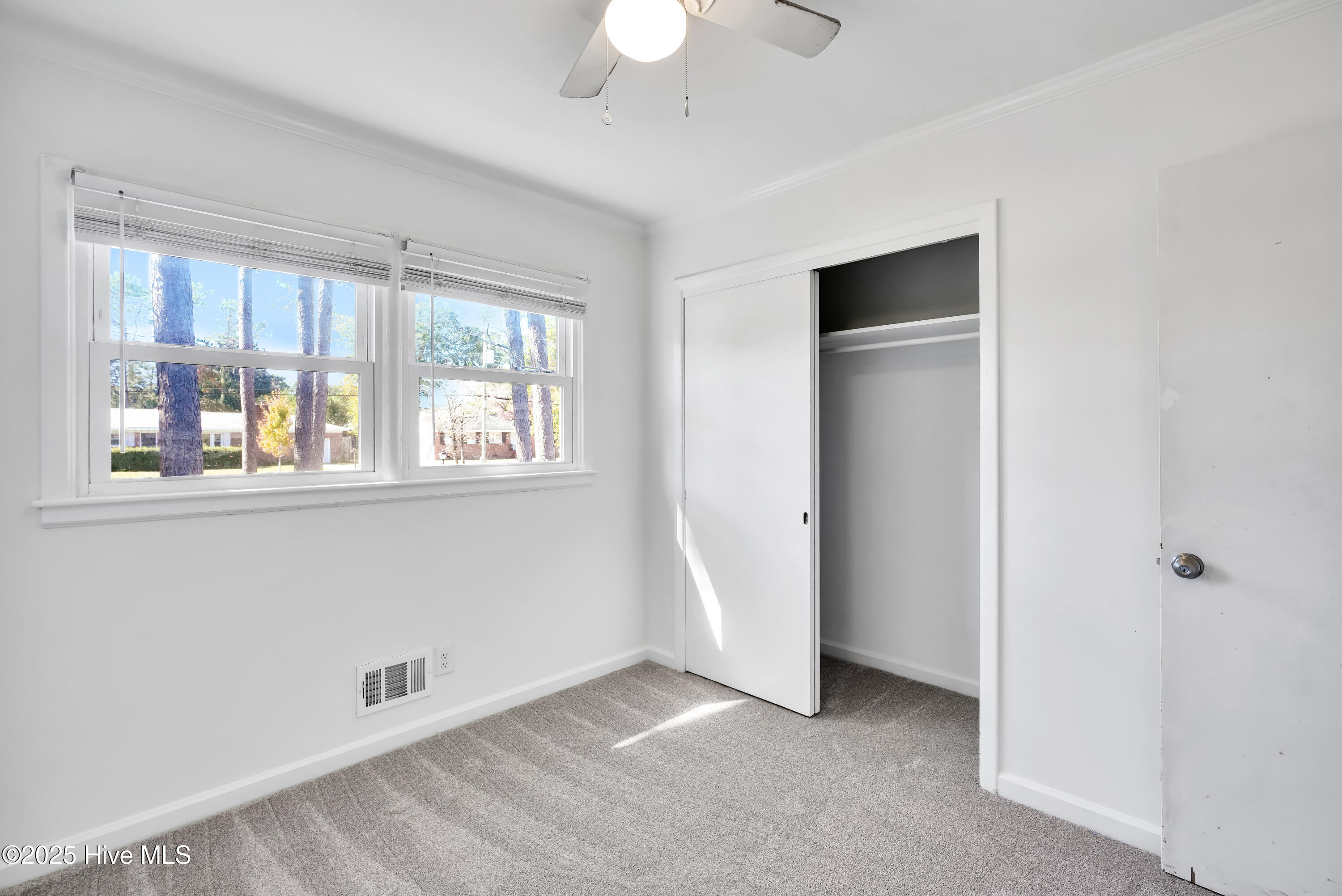 100539794 | Photo 14