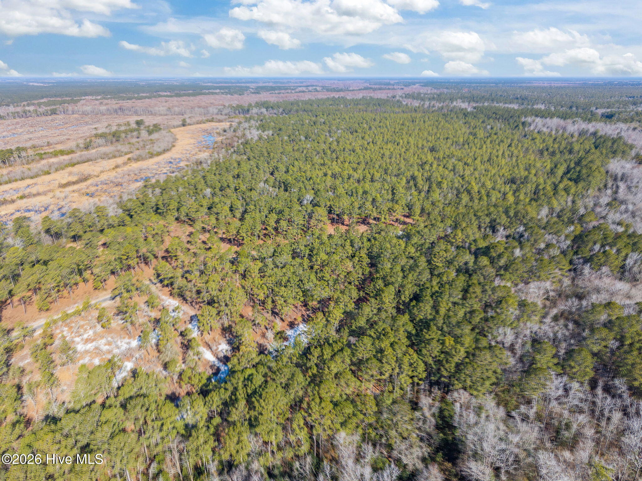 100554488 | Photo 13