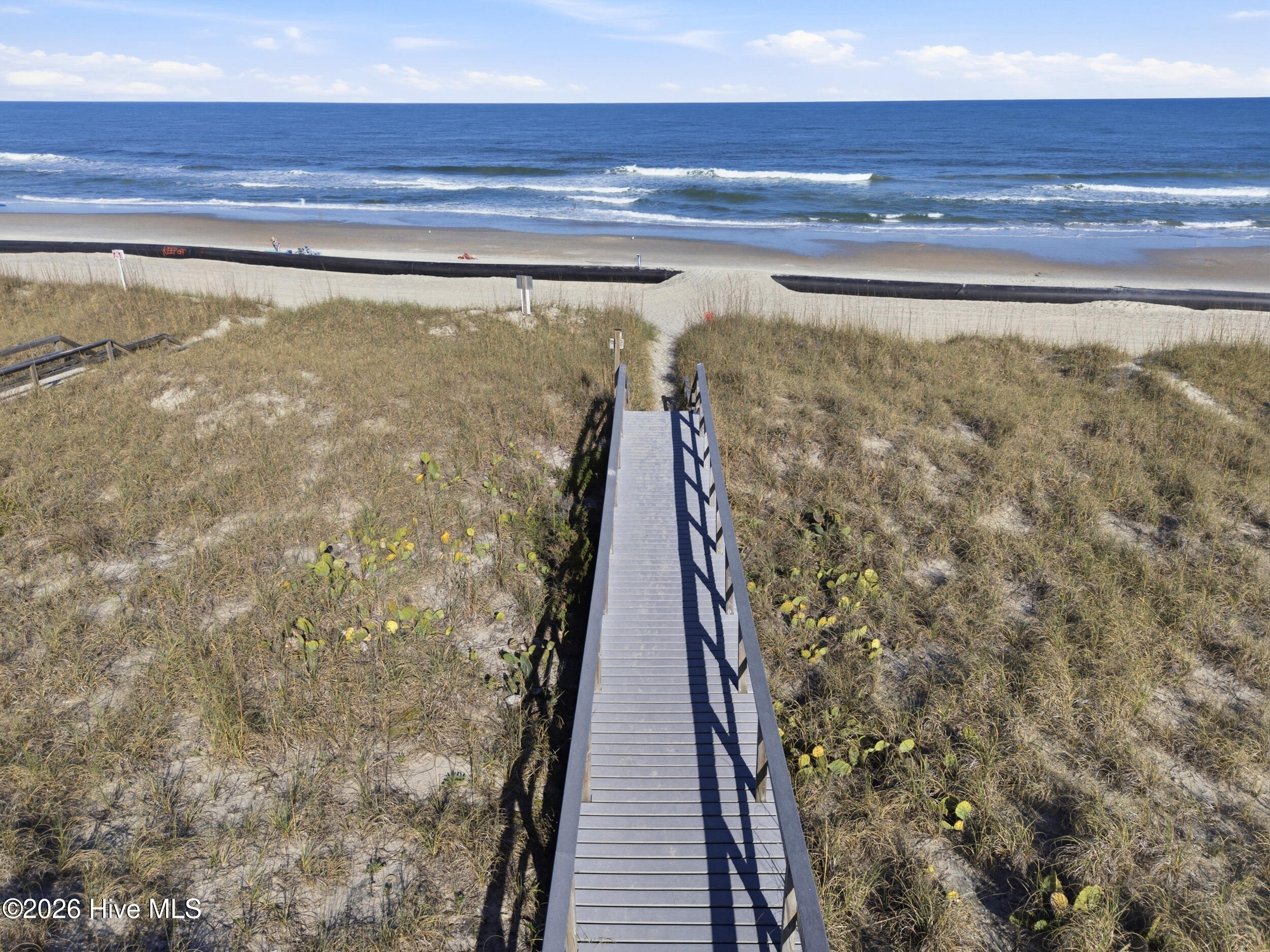 100562877 | Photo 46