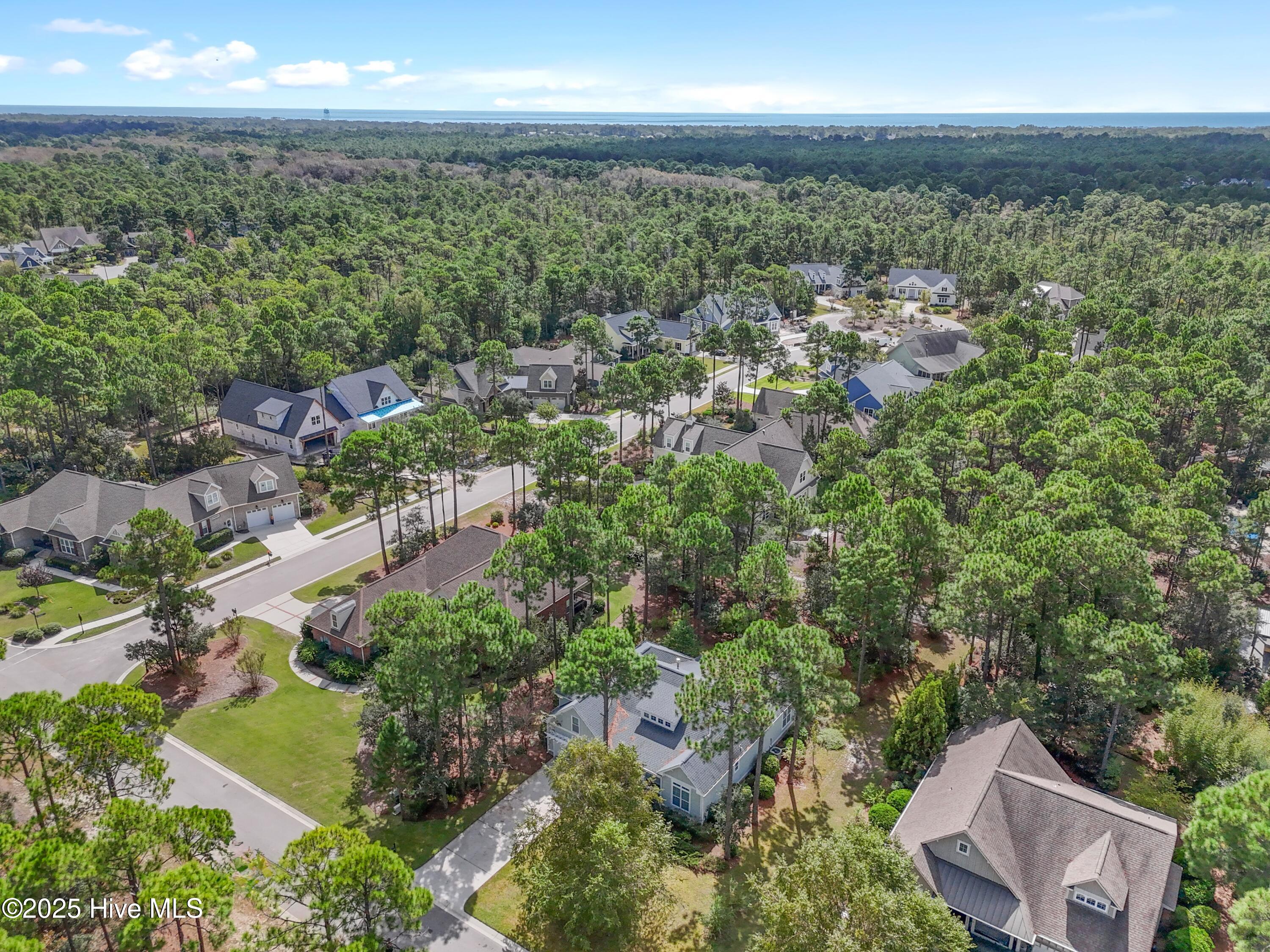 100534915 | Photo 37