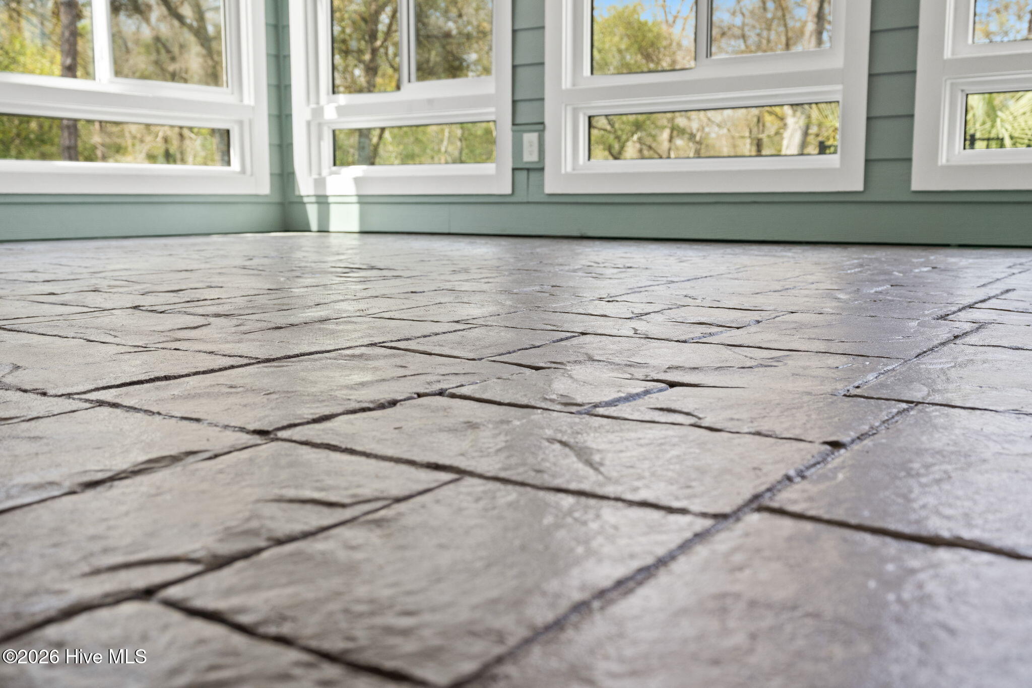 100563423 | Photo 49