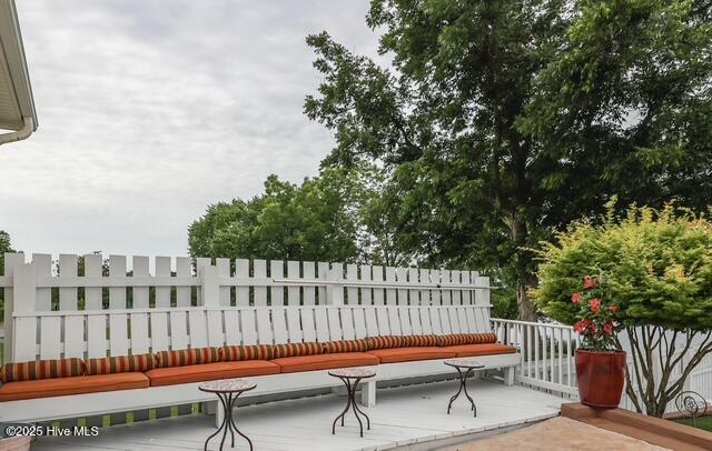 100515842 | Photo 39