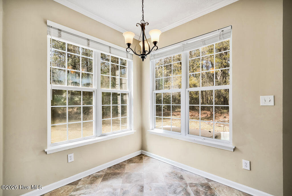 100563606 | Photo 13