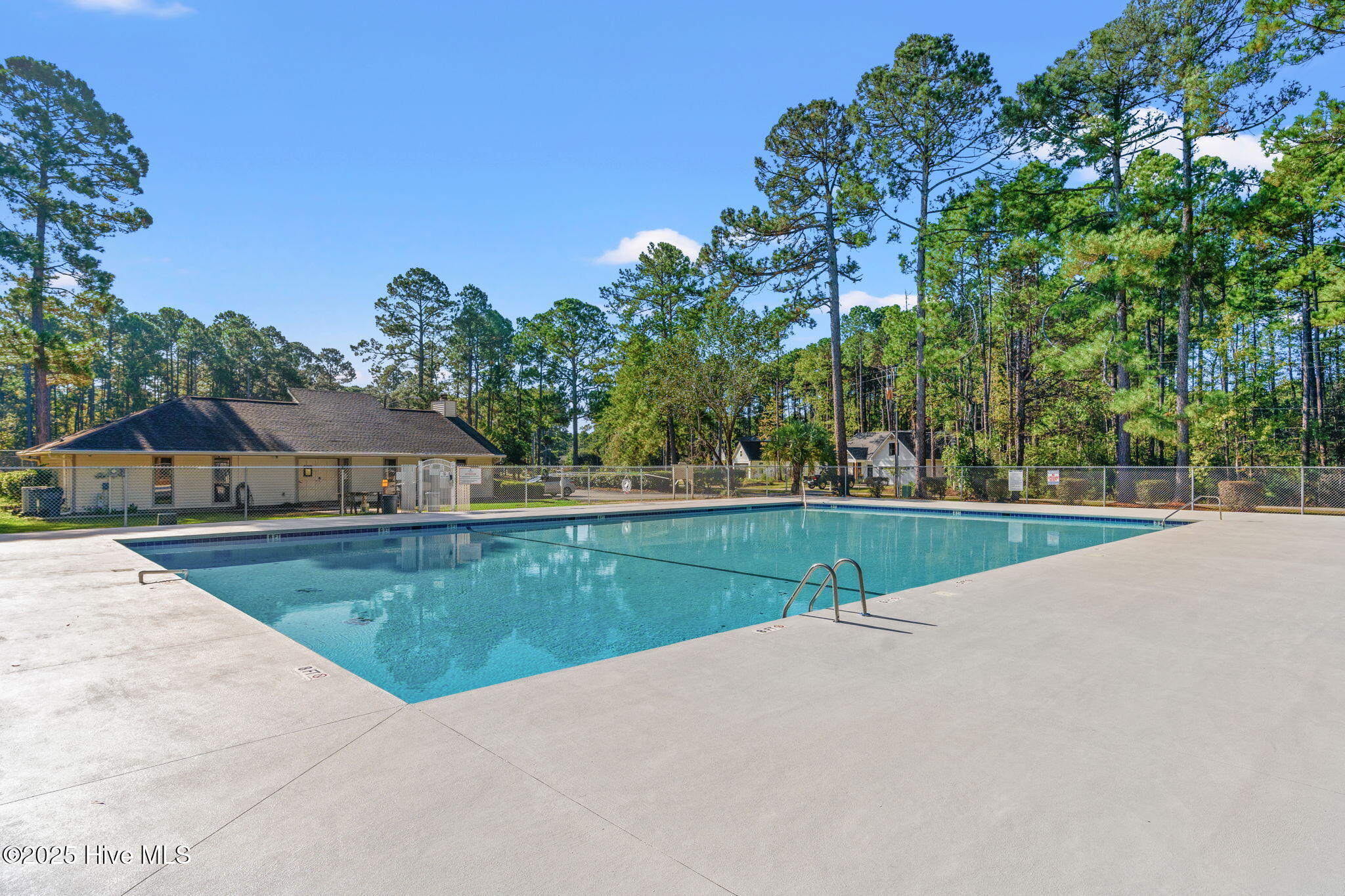 100535002 | Photo 38