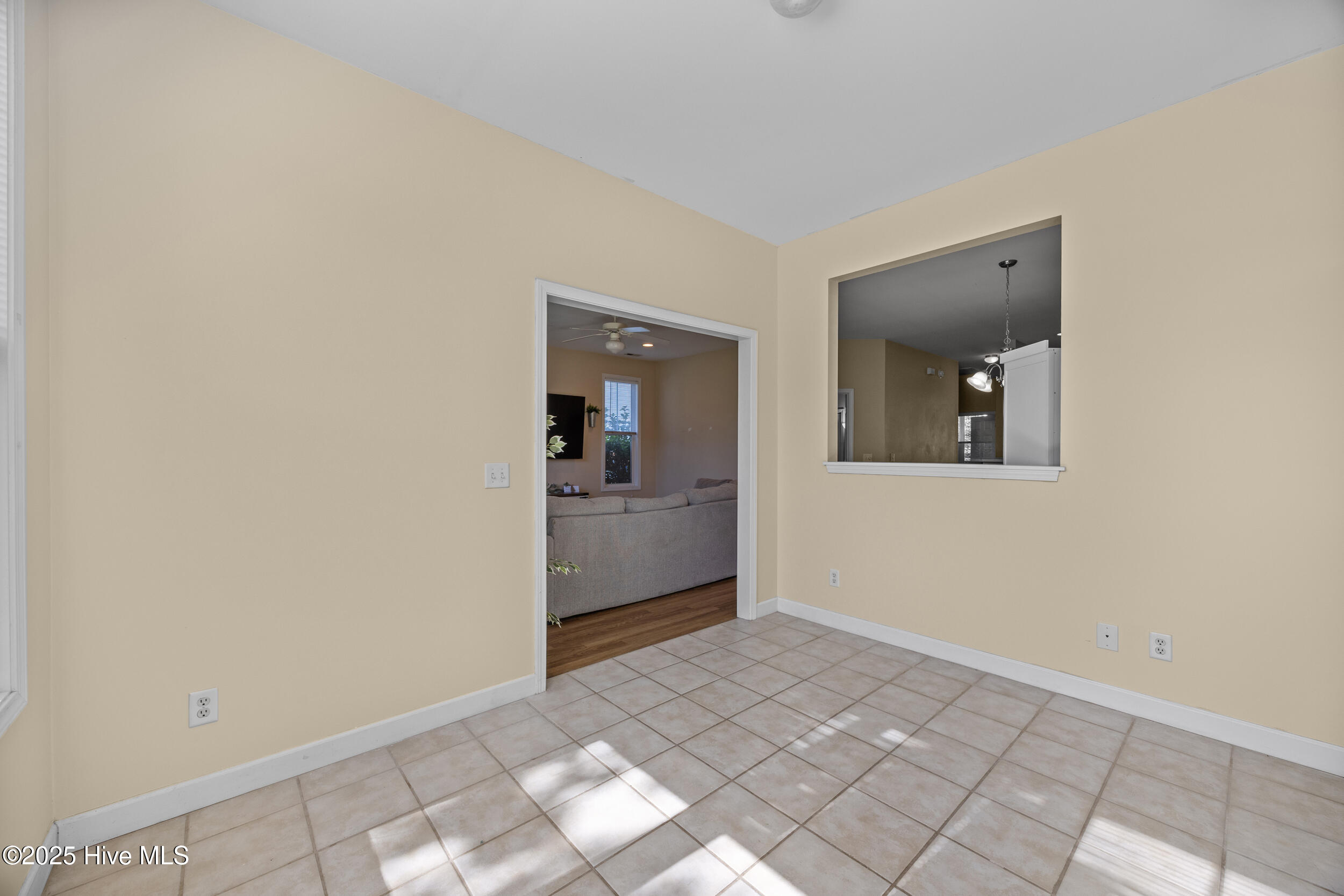 100535393 | Photo 35