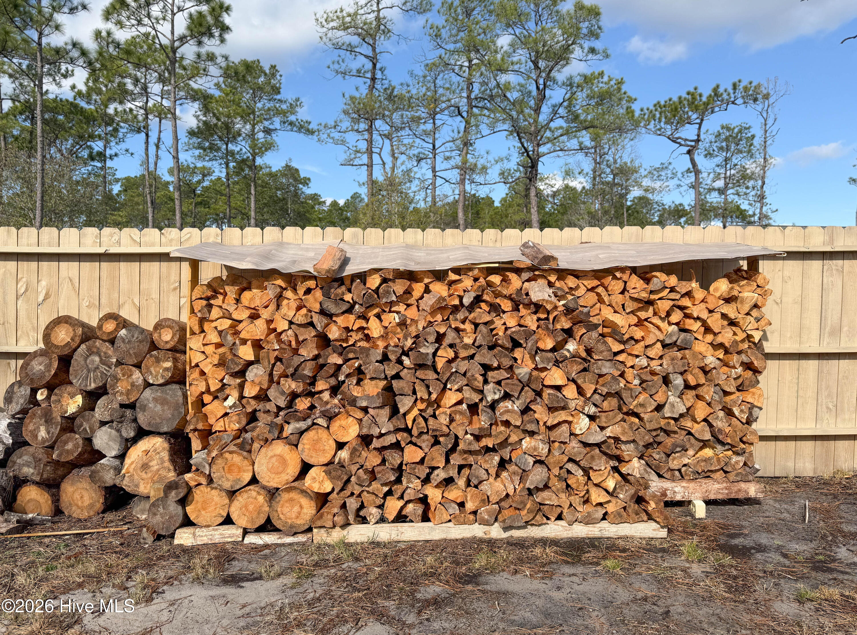 100548876 | Photo 40