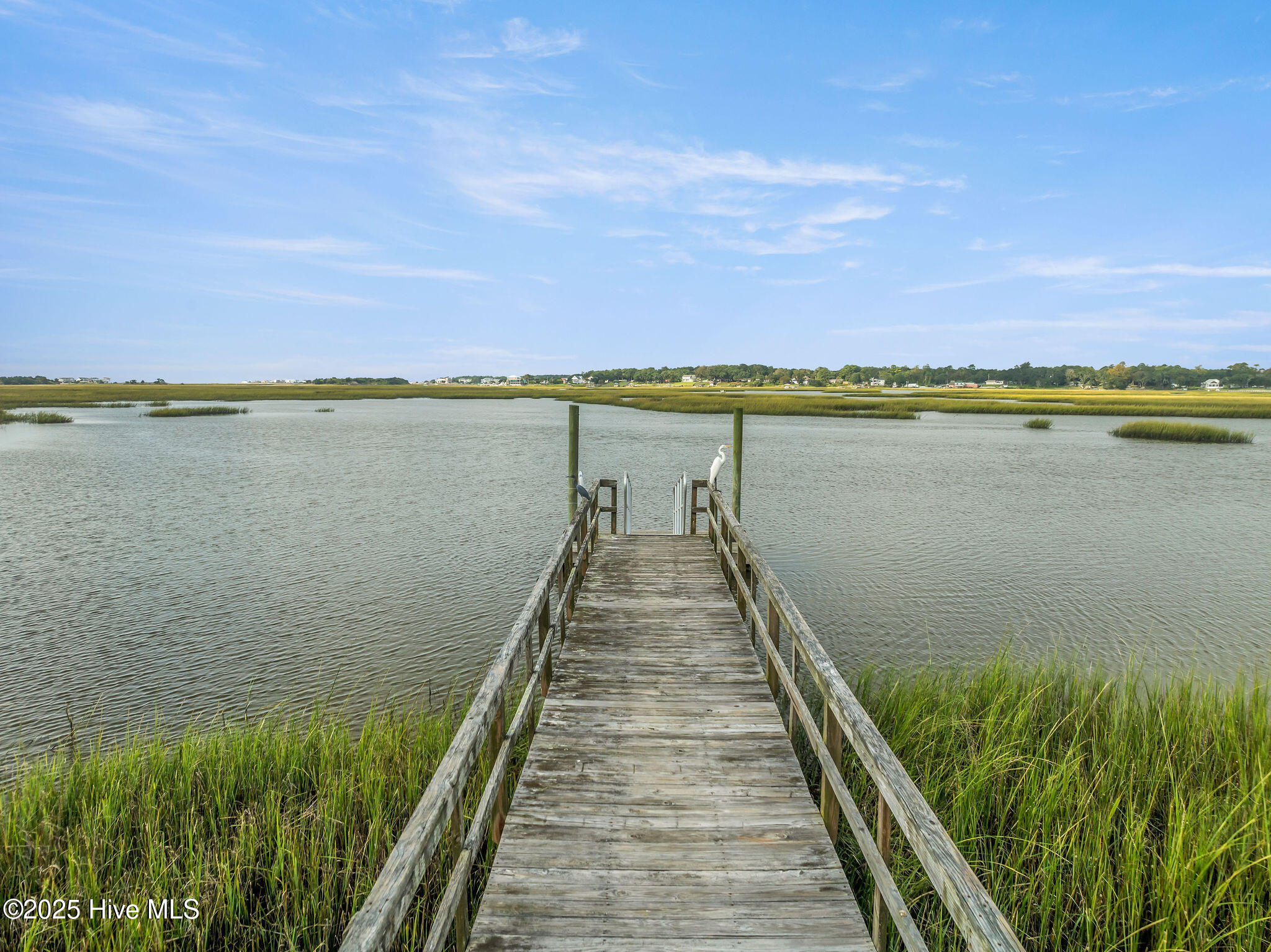 100488997 | Photo 101