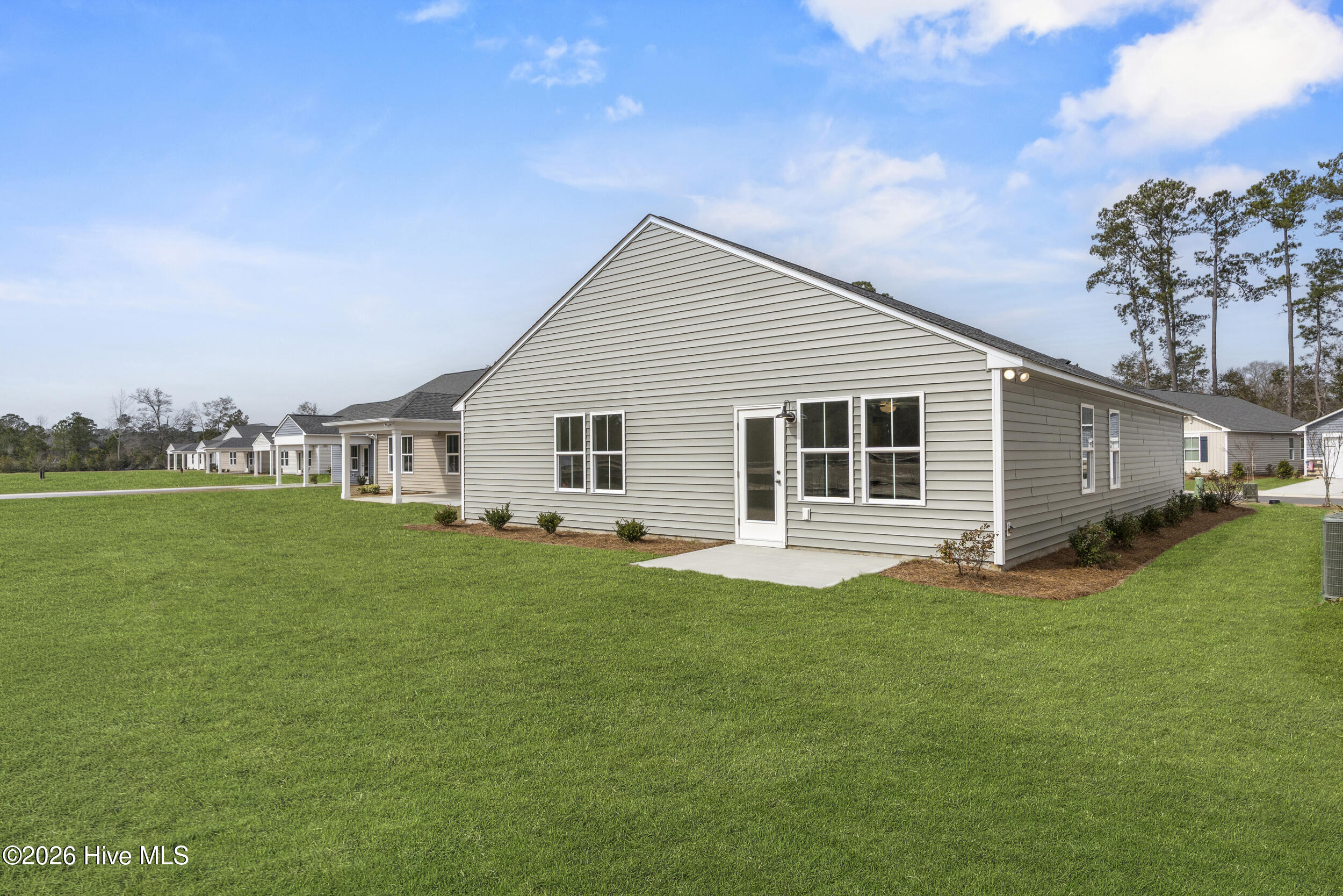 100541517 | Photo 15