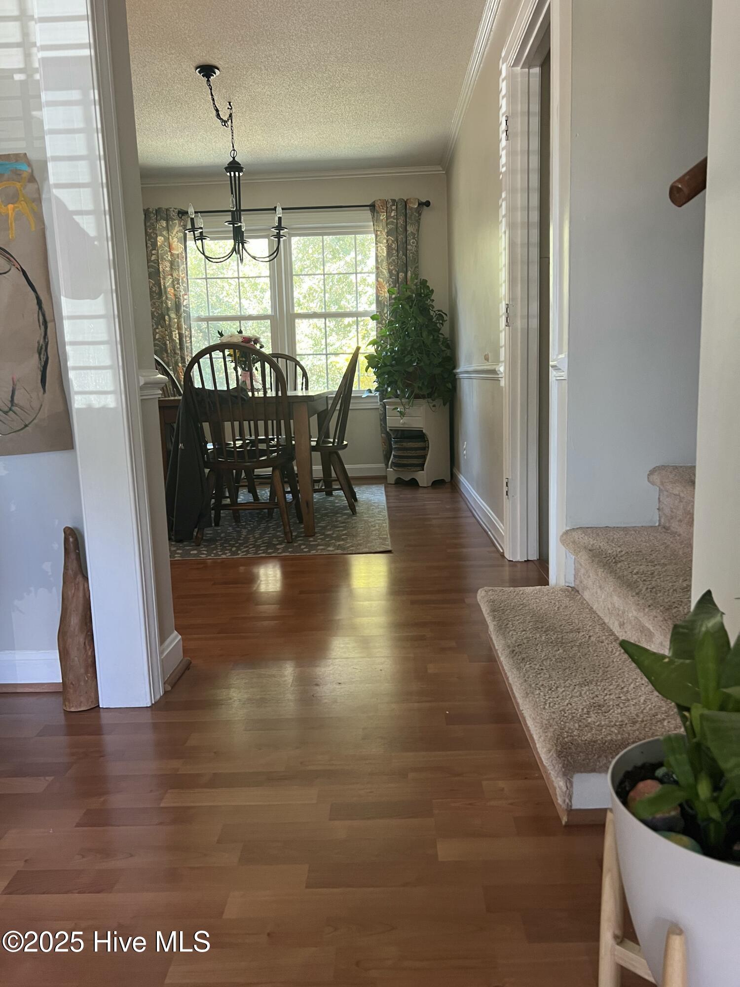 1204 Rodgers Drive