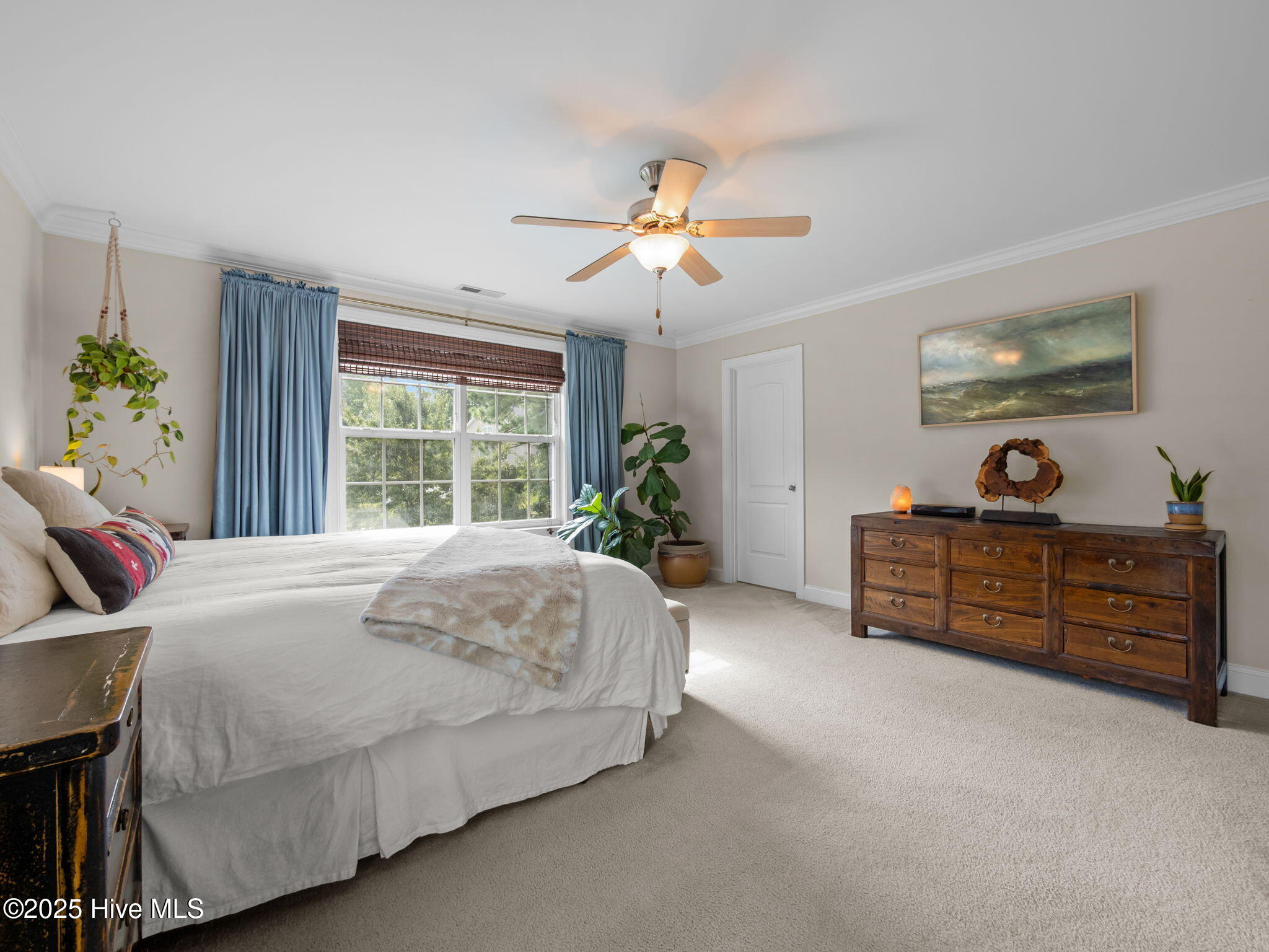 100525324 | Photo 16