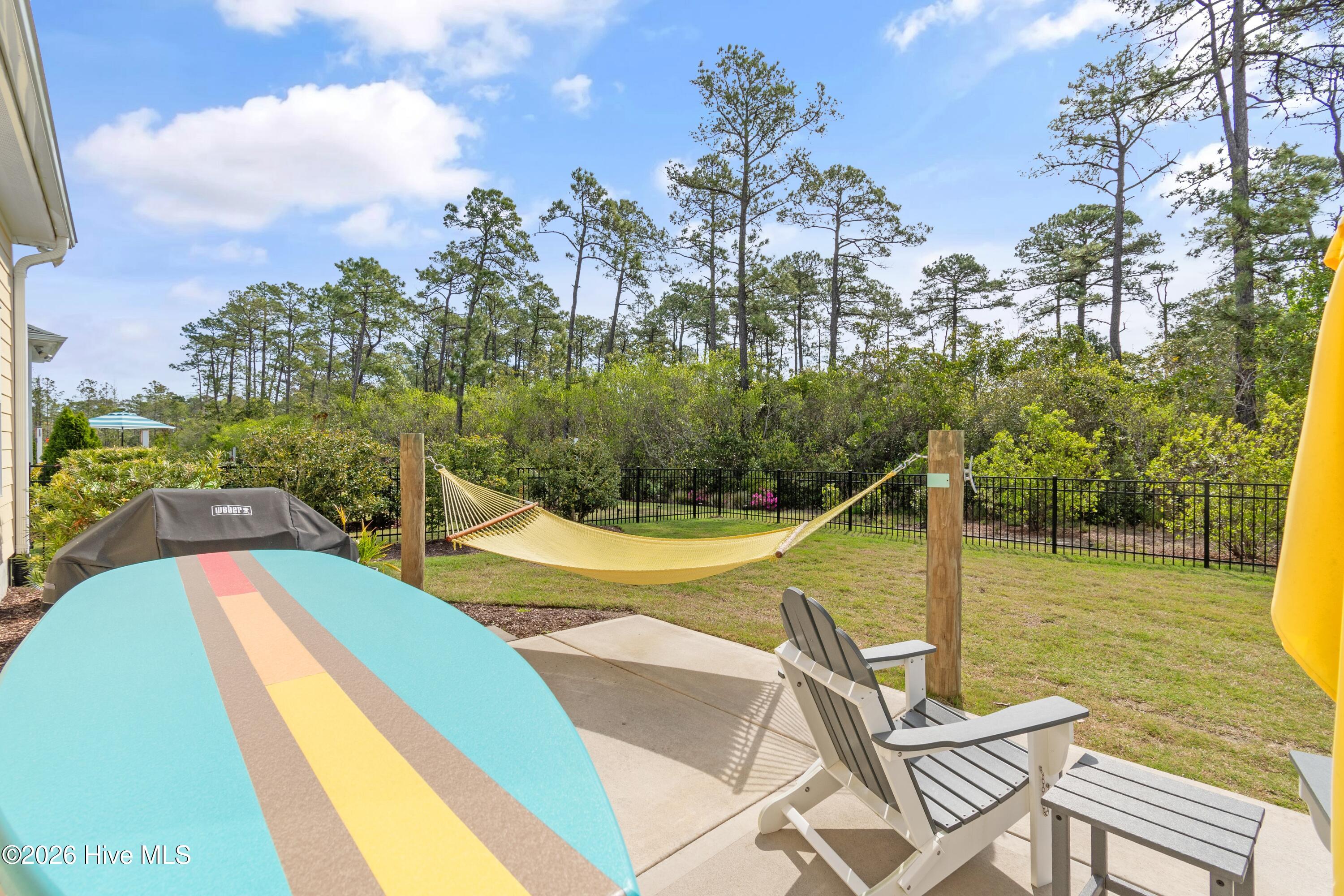 100566064 | Photo 39