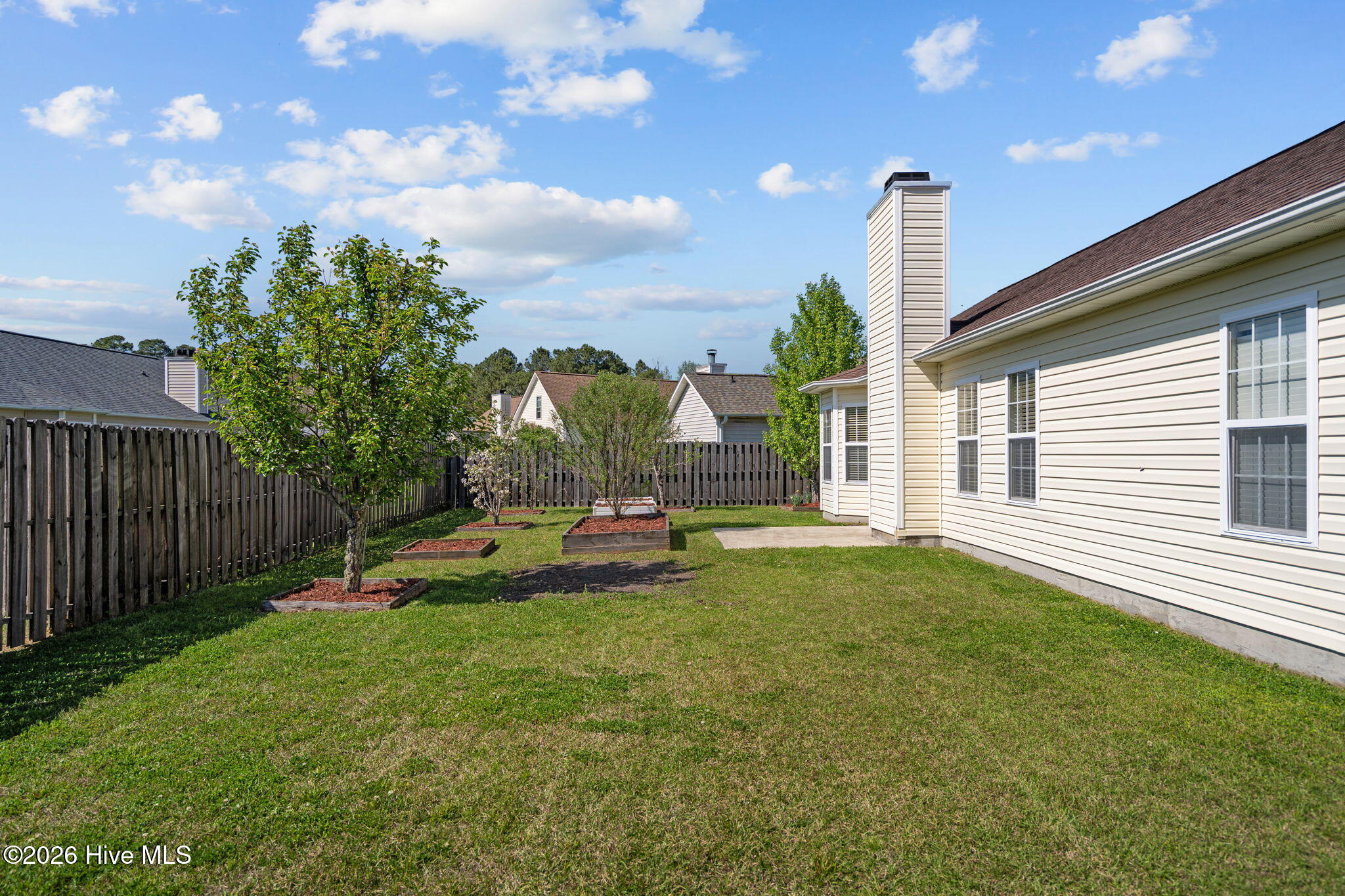 100563369 | Photo 17