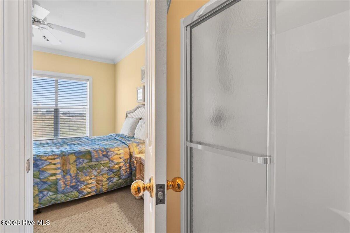 100549709 | Photo 21