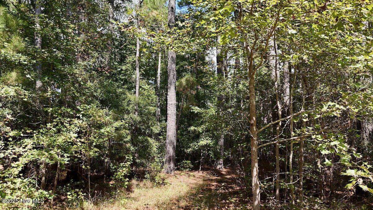 100531803 | Photo 20