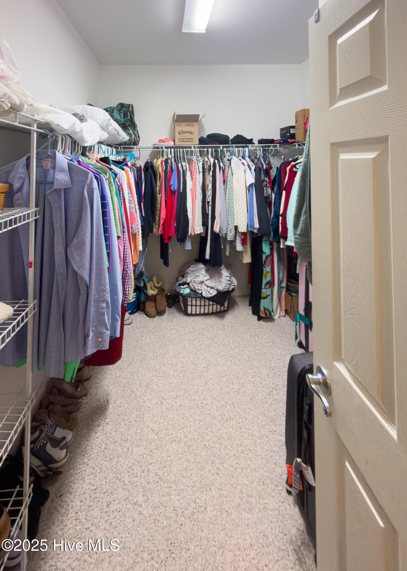 100547158 | Photo 28