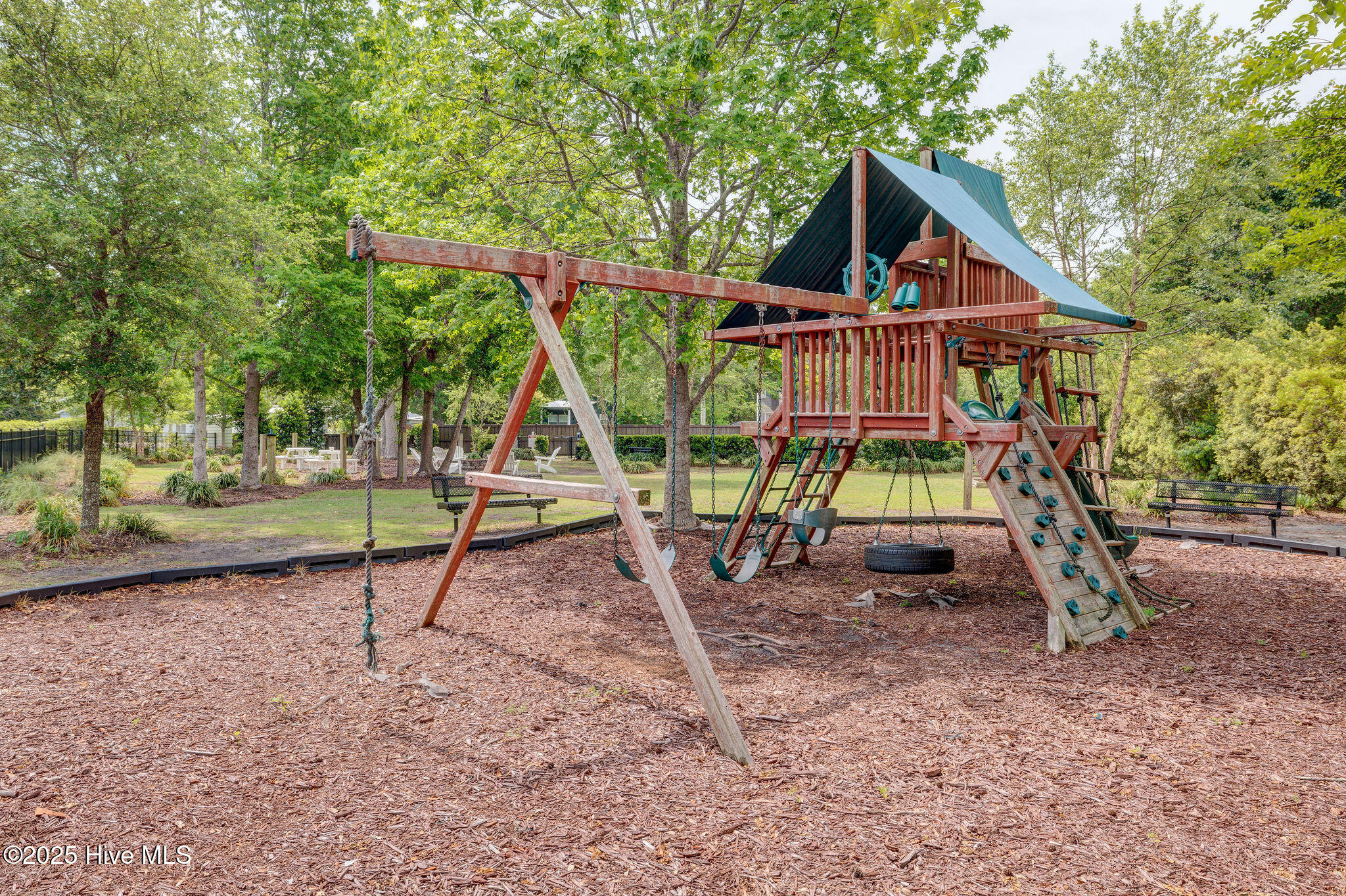 100529833 | Photo 53