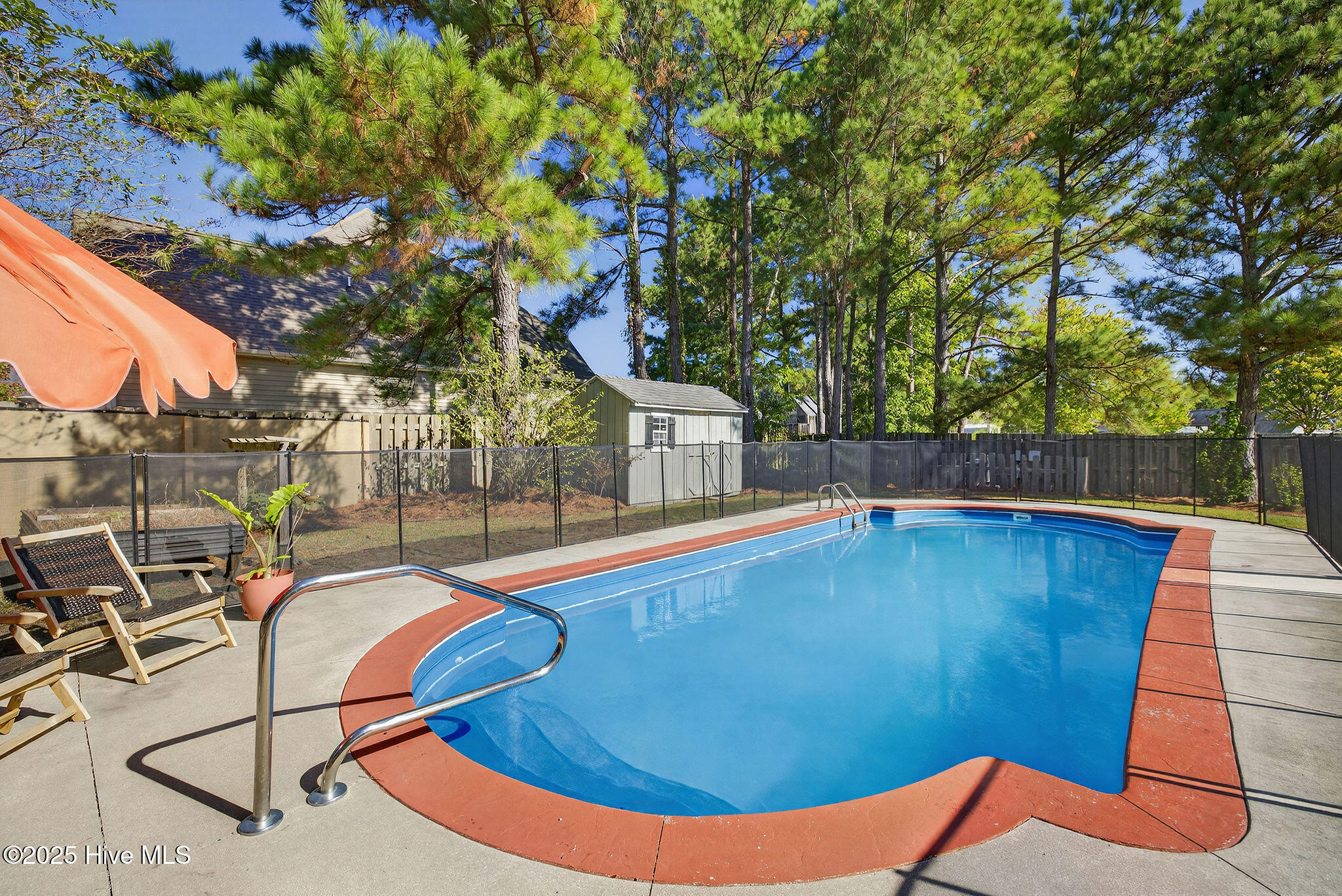 100537905 | Photo 36