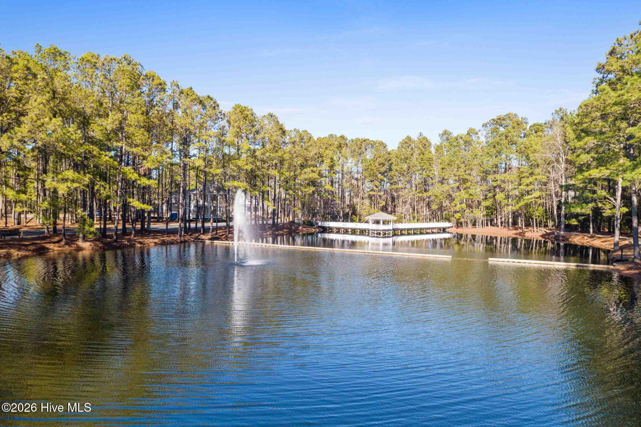 100546436 | Photo 75