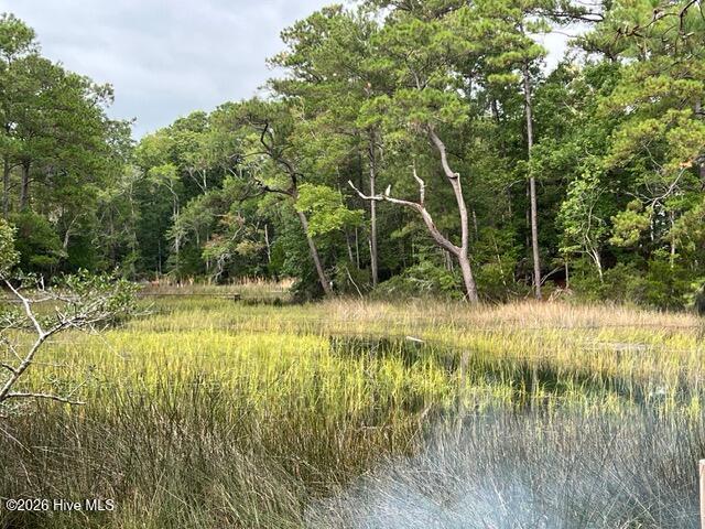 100562742 | Photo 25