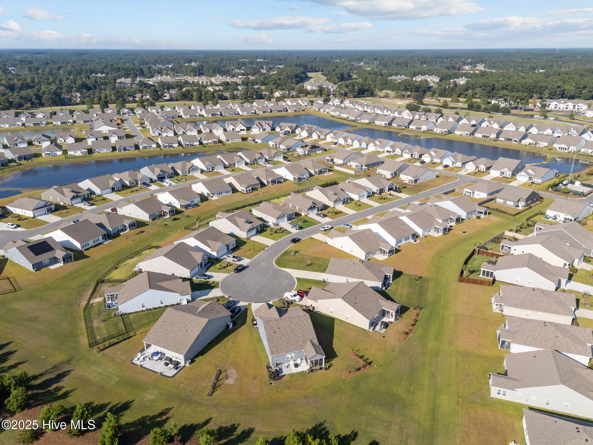 100531839 | Photo 52