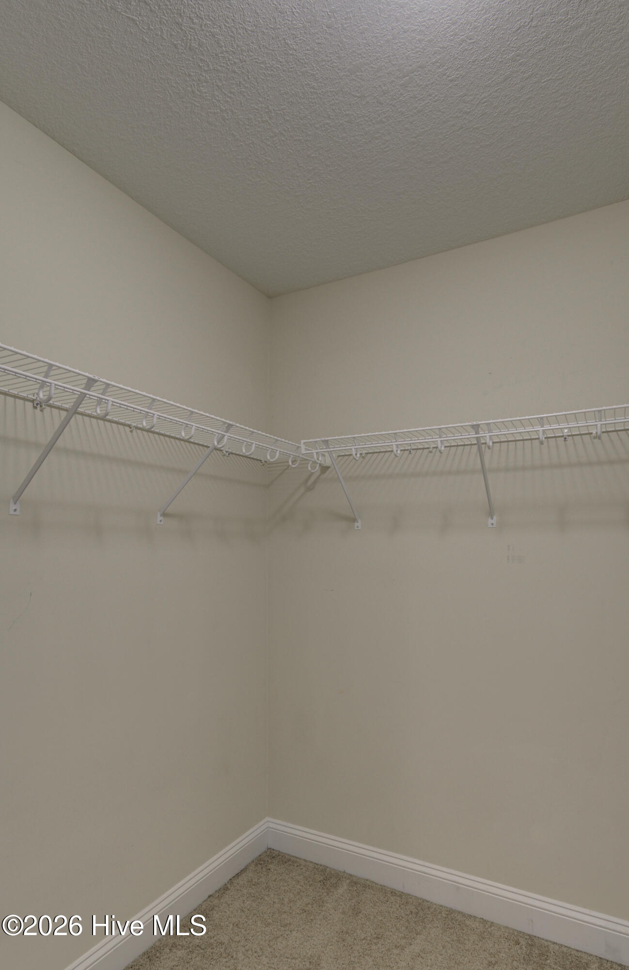 100589776 | Photo 43