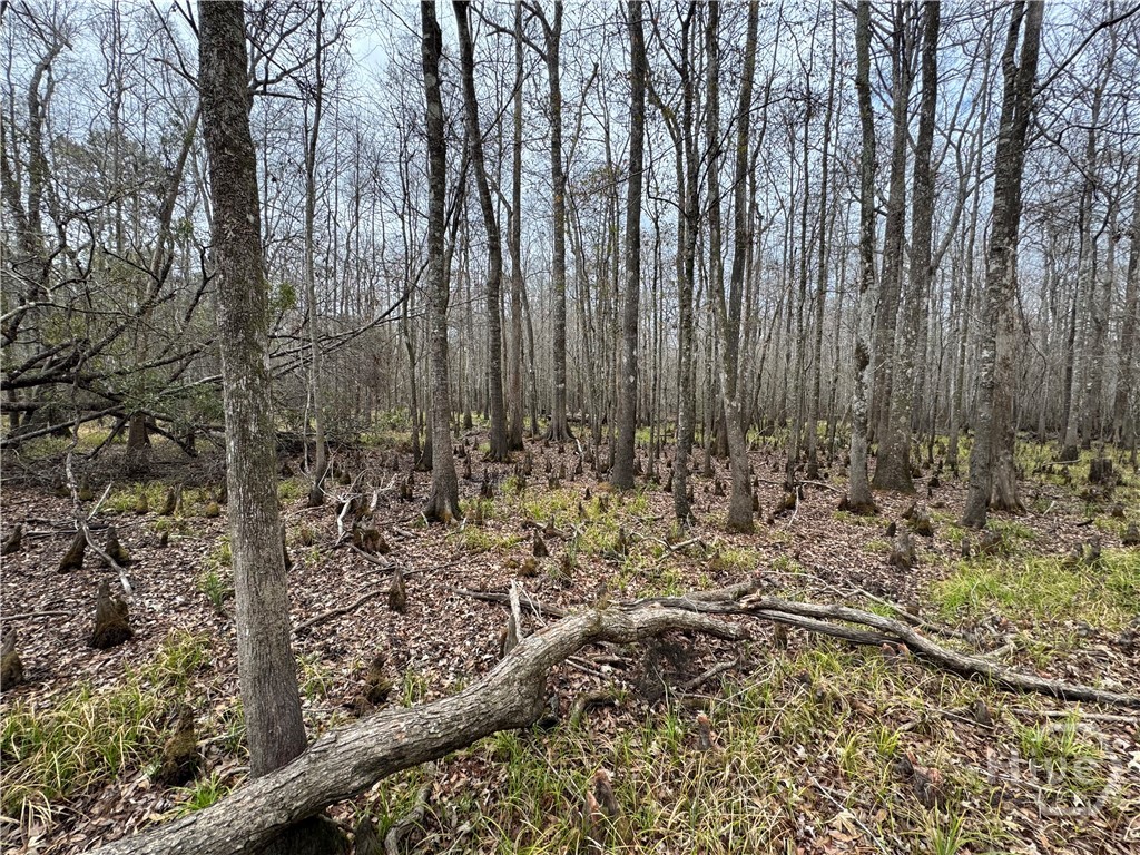 Homes for sale in Bloomingdale, GA | 0 Old Hwy 204 Hwy, Bloomingdale, GA 31302 | MLS# SA339548