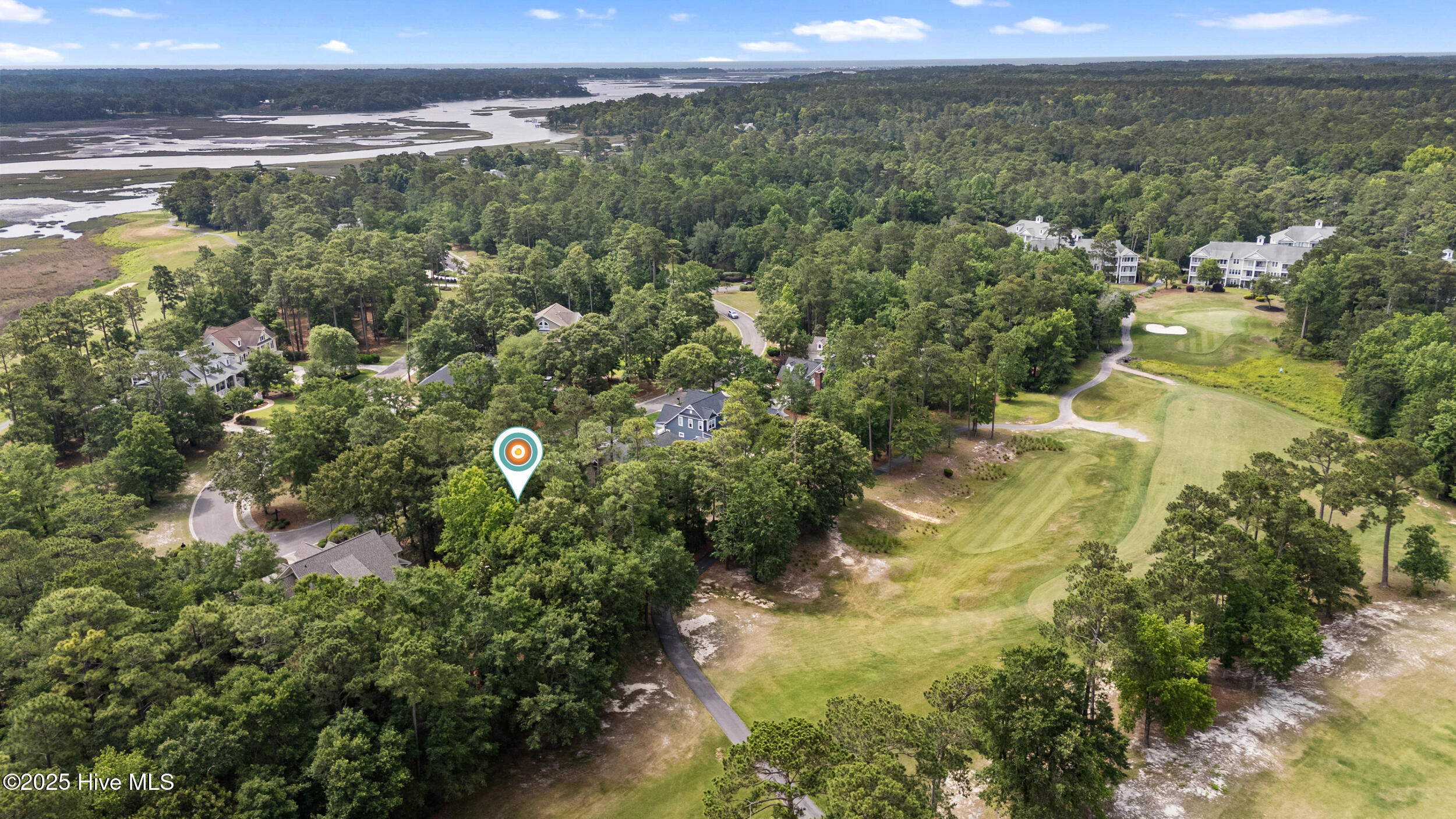 100547497 | Photo 10