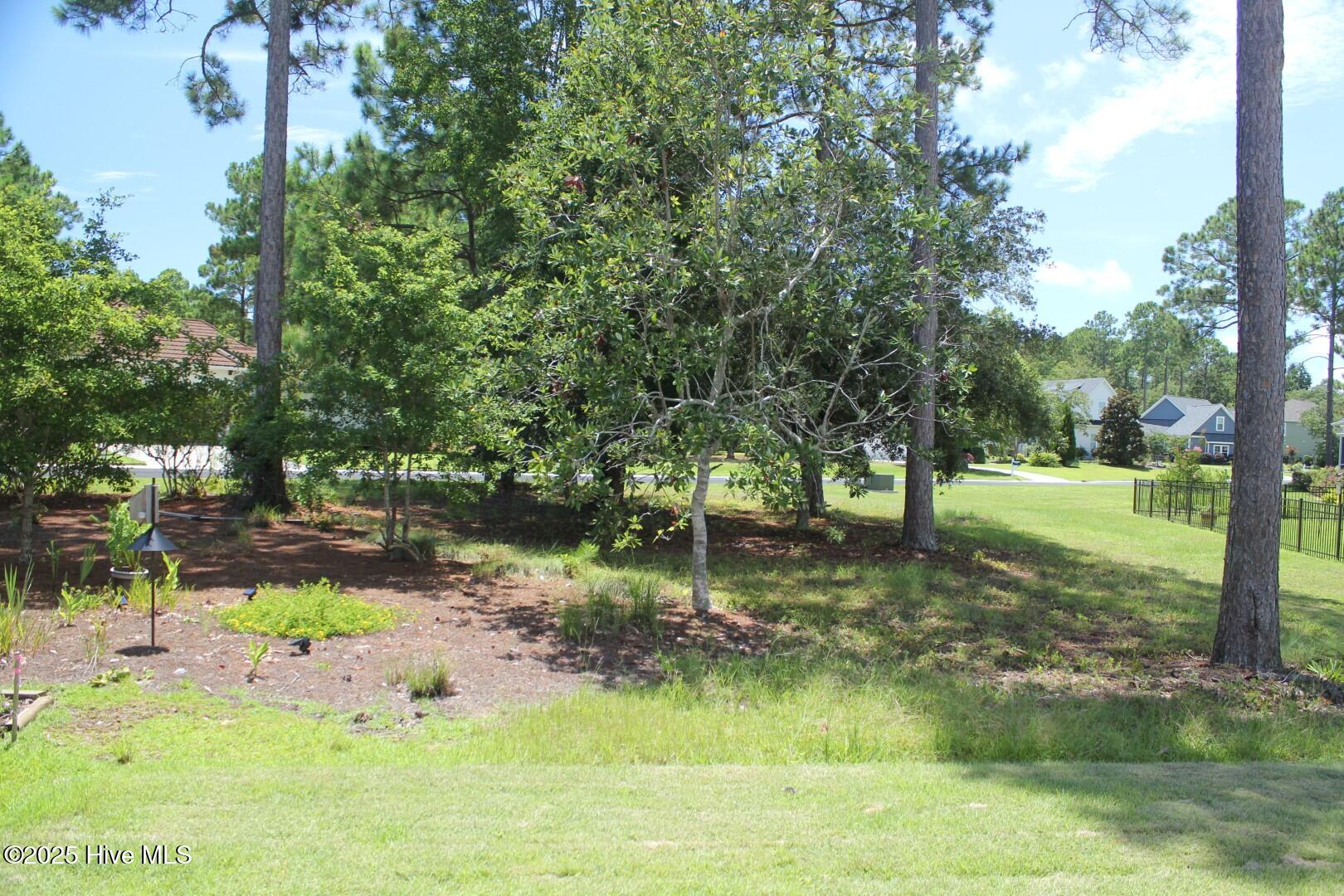 100490321 | Photo 53