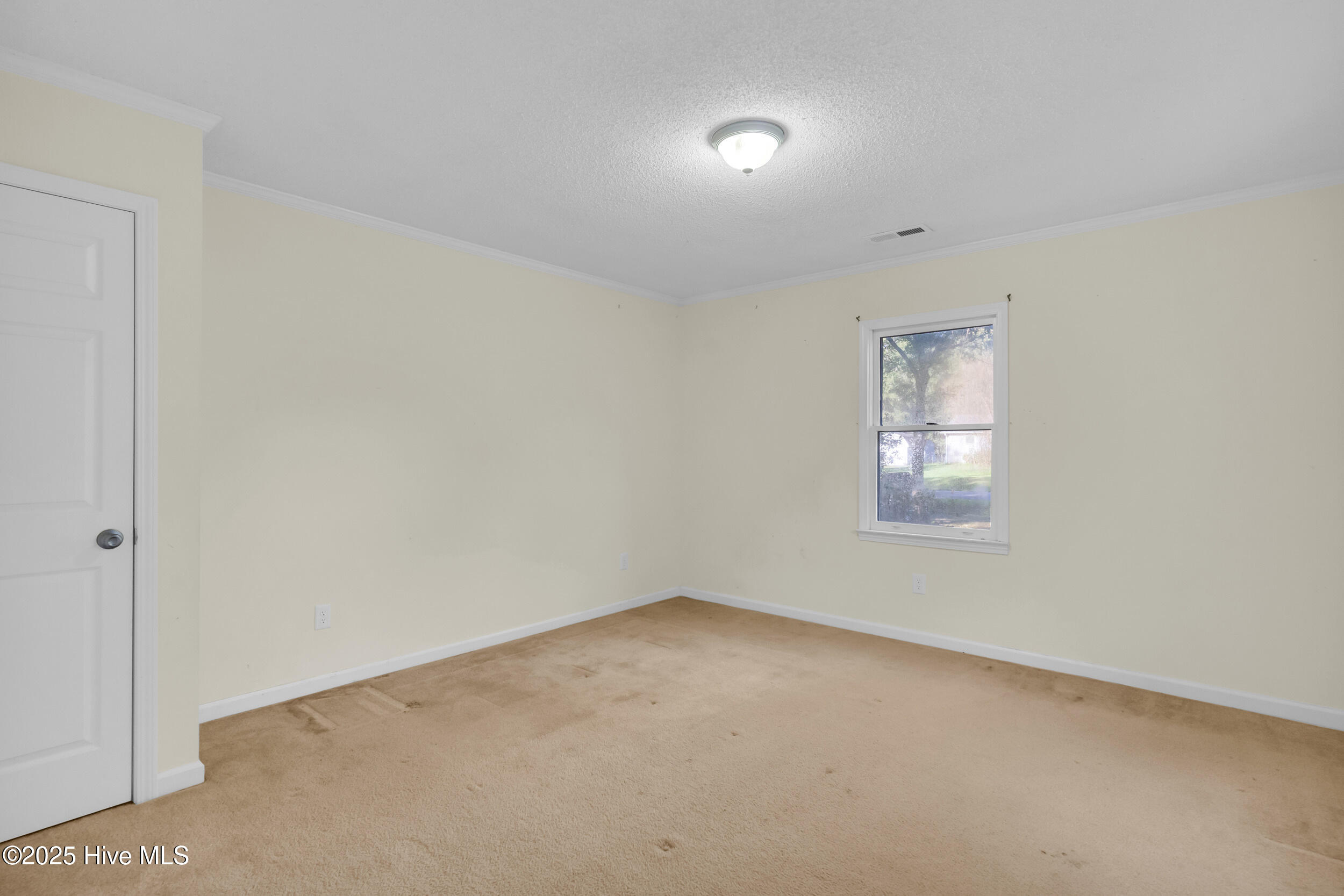 100537438 | Photo 18