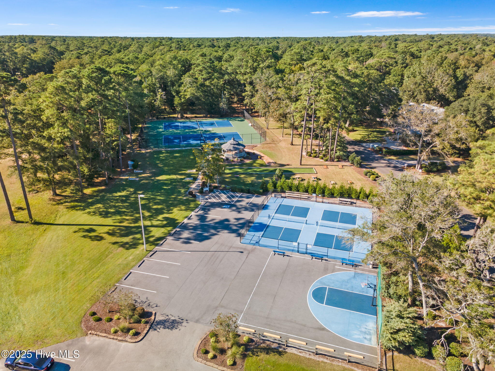 100537581 | Photo 17