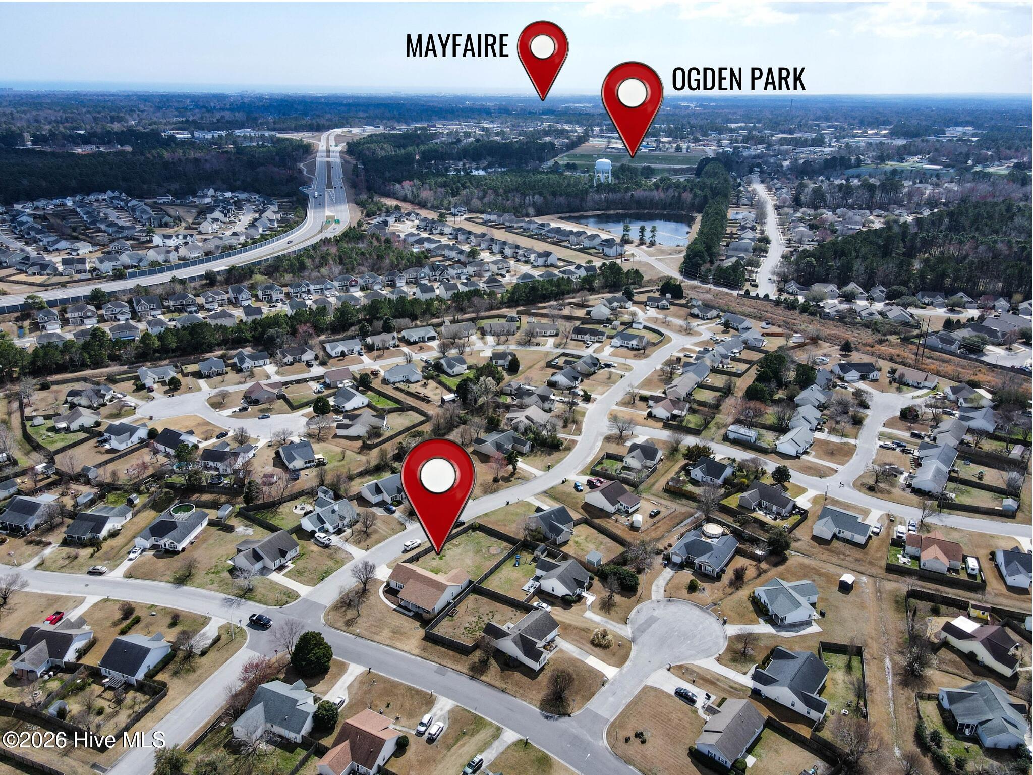 100558599 | Photo 21