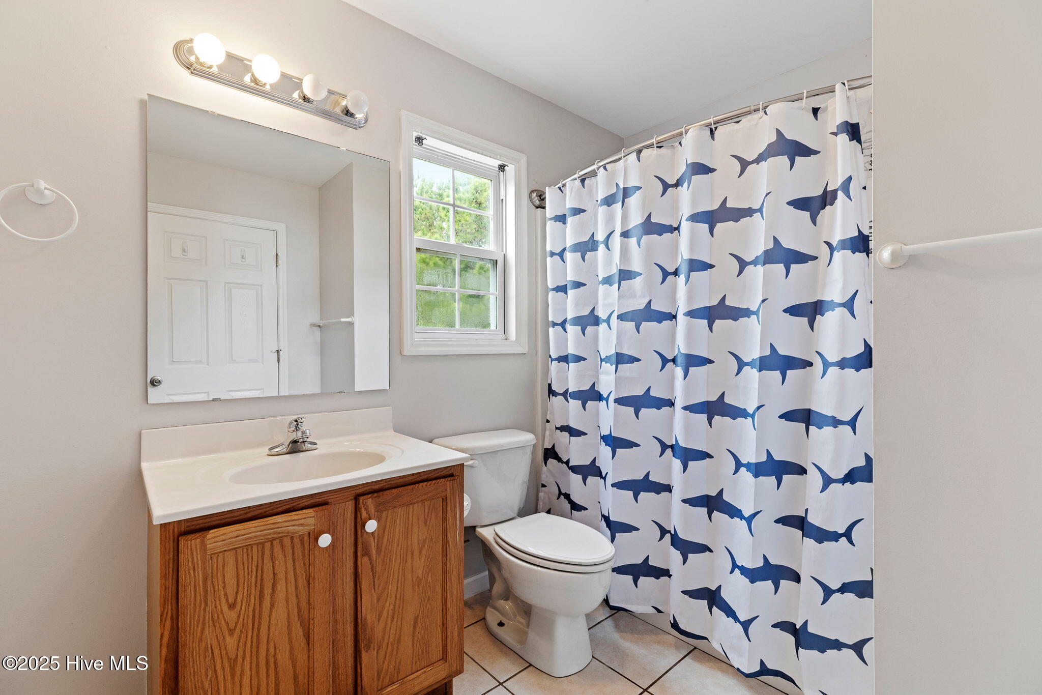 100546580 | Photo 35