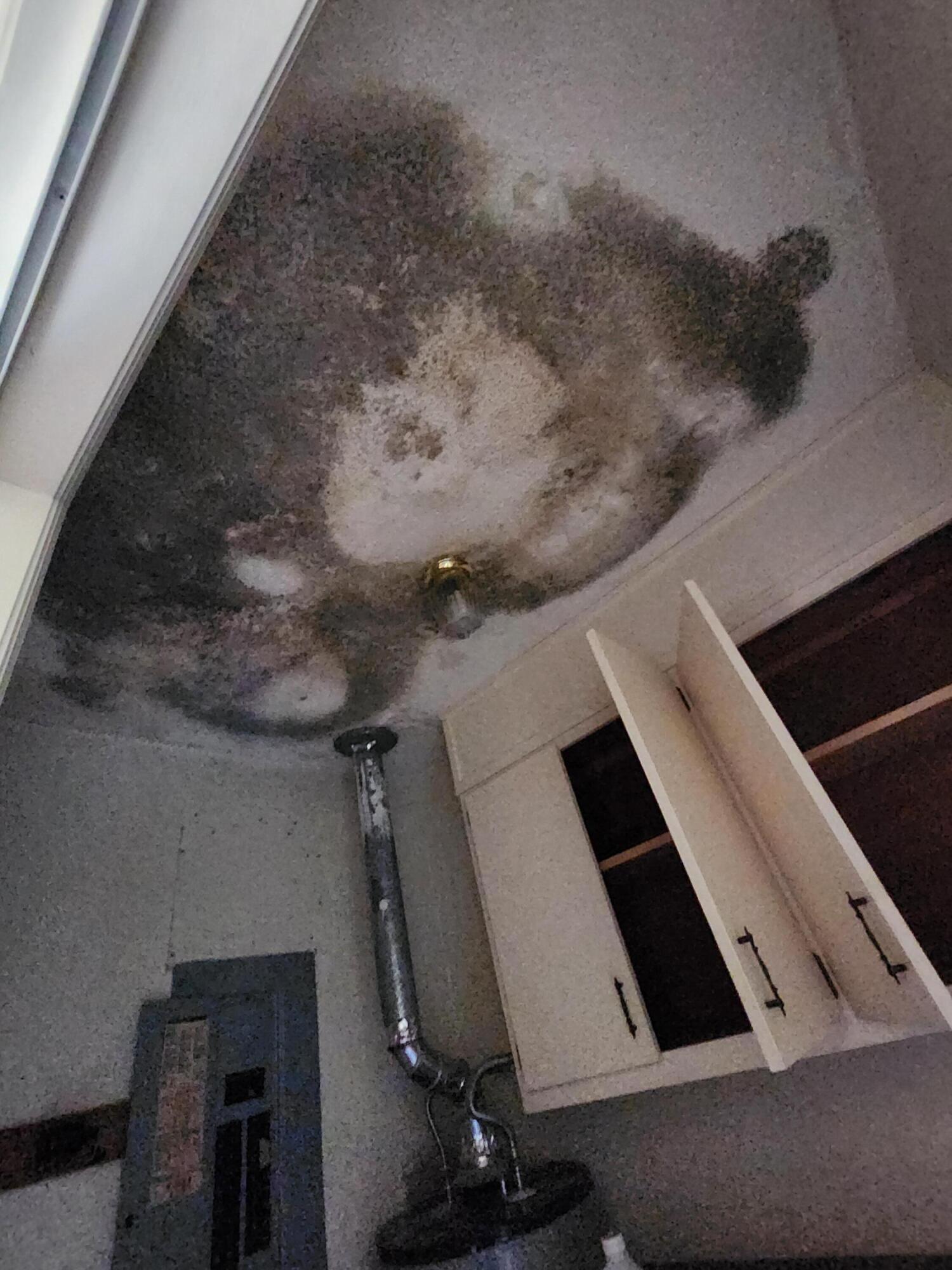 385 W Trippe Street, Harlem, GA, 30814