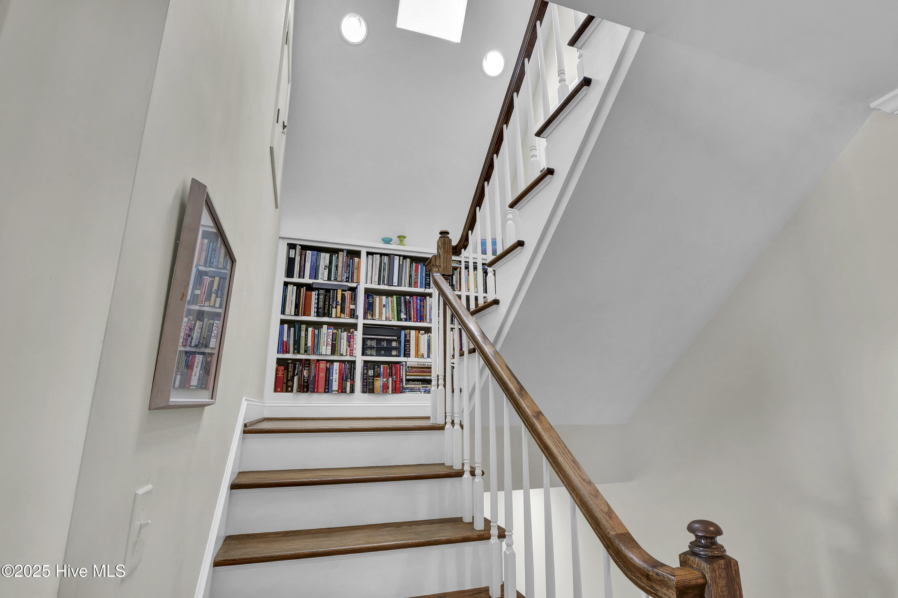 100528059 | Photo 36