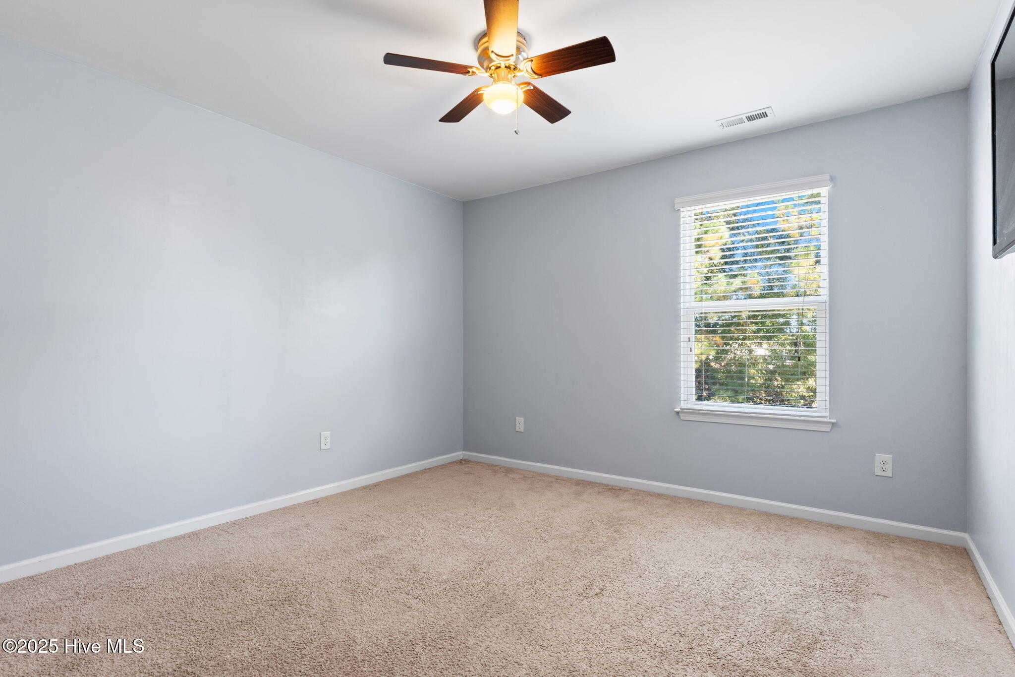 100538631 | Photo 19