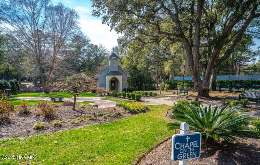 100536080 | Photo 42