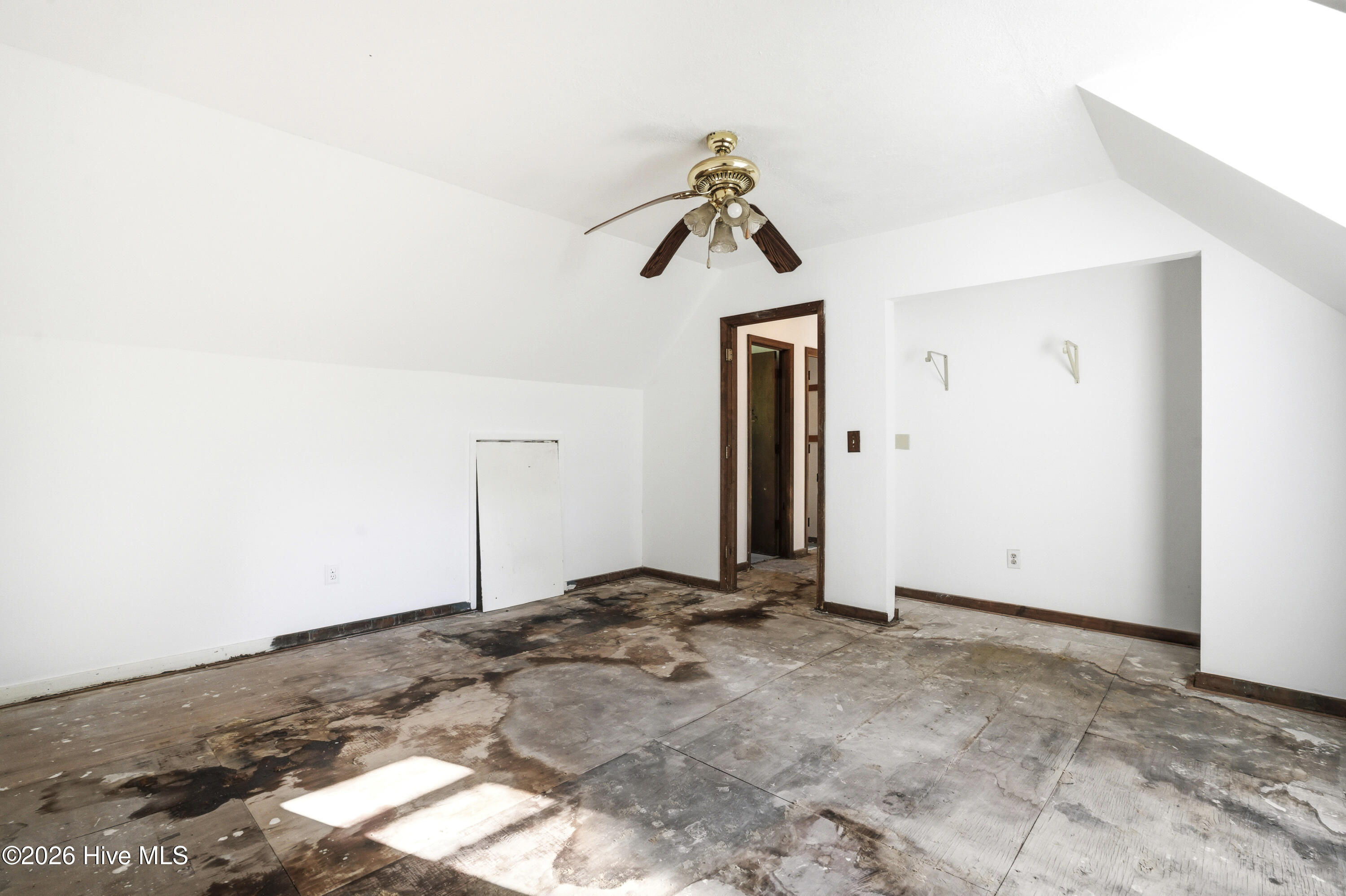 100568902 | Photo 34