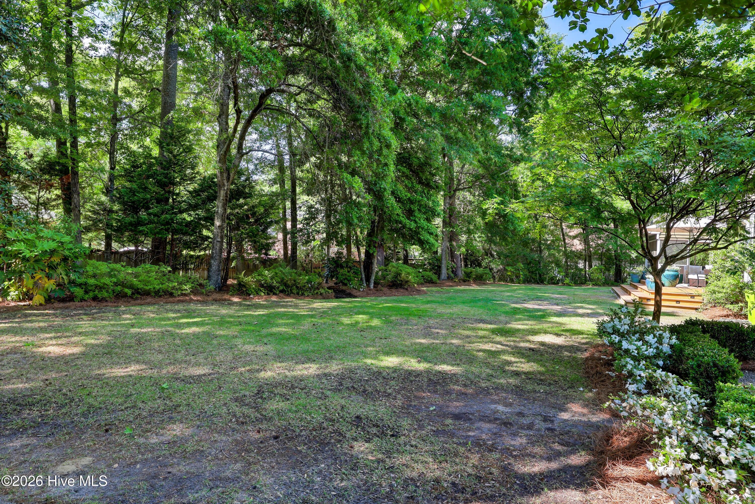 100569392 | Photo 45