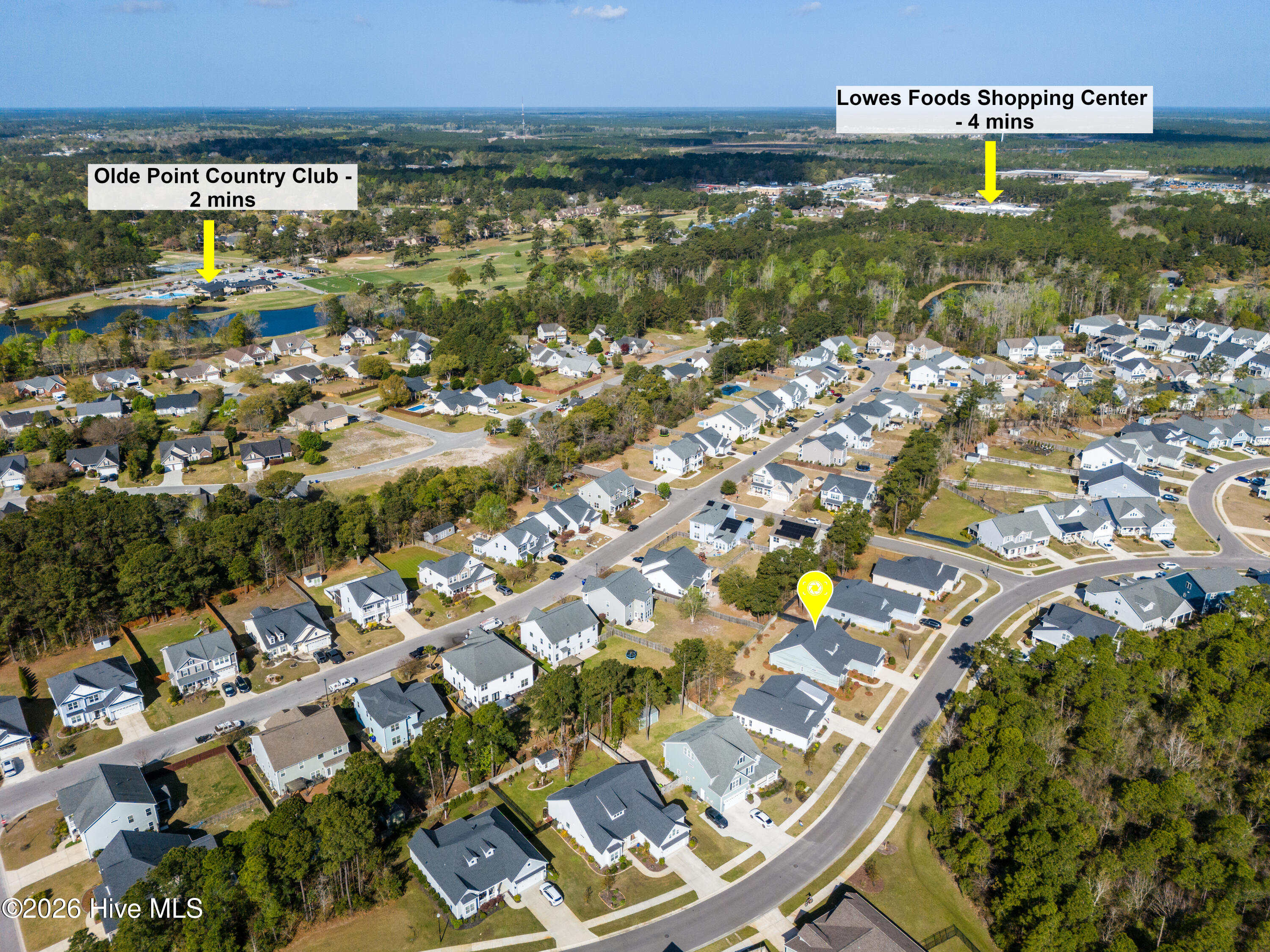 100564151 | Photo 38