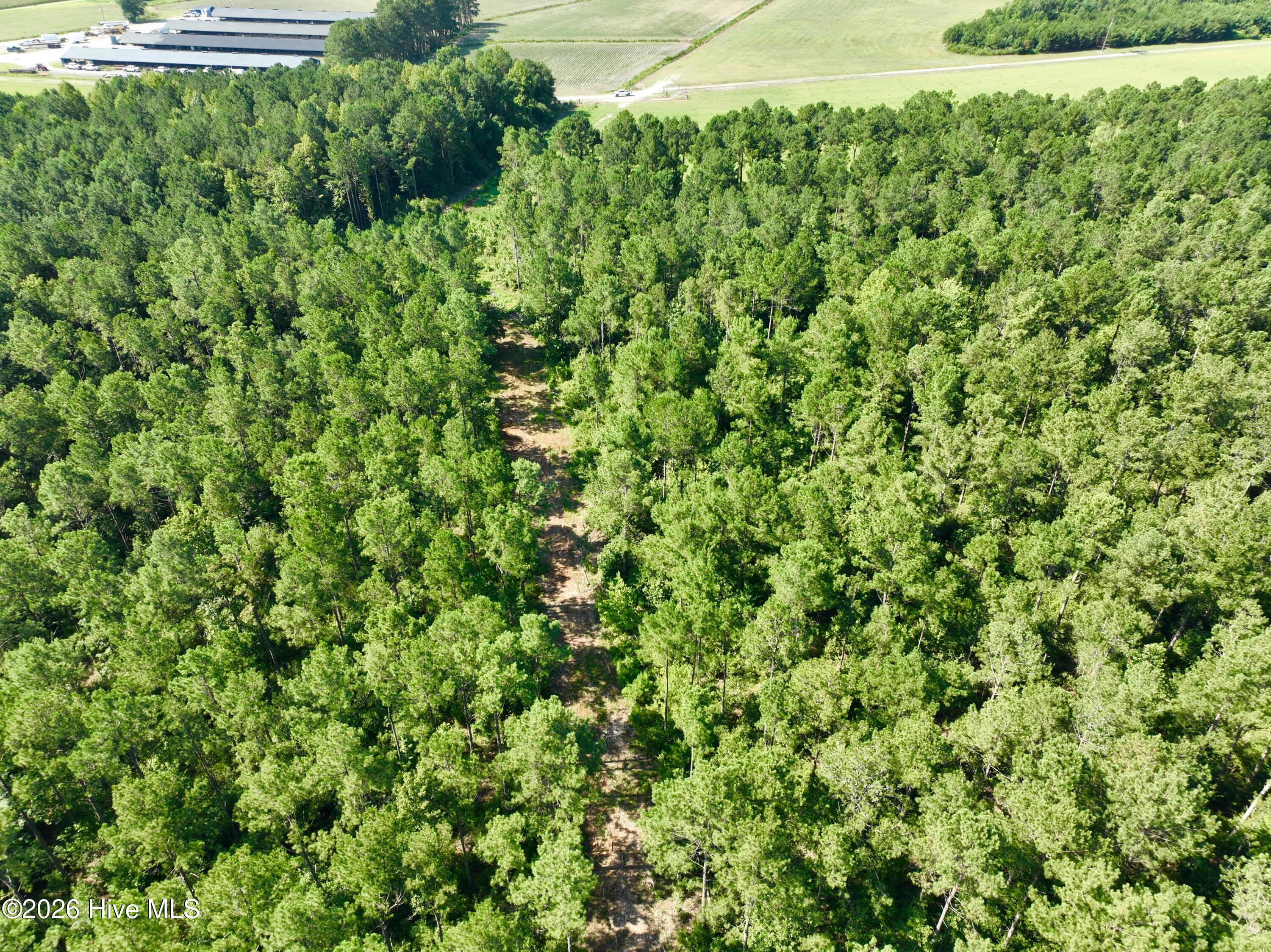 0 Cedar Fork Road,Beulaville