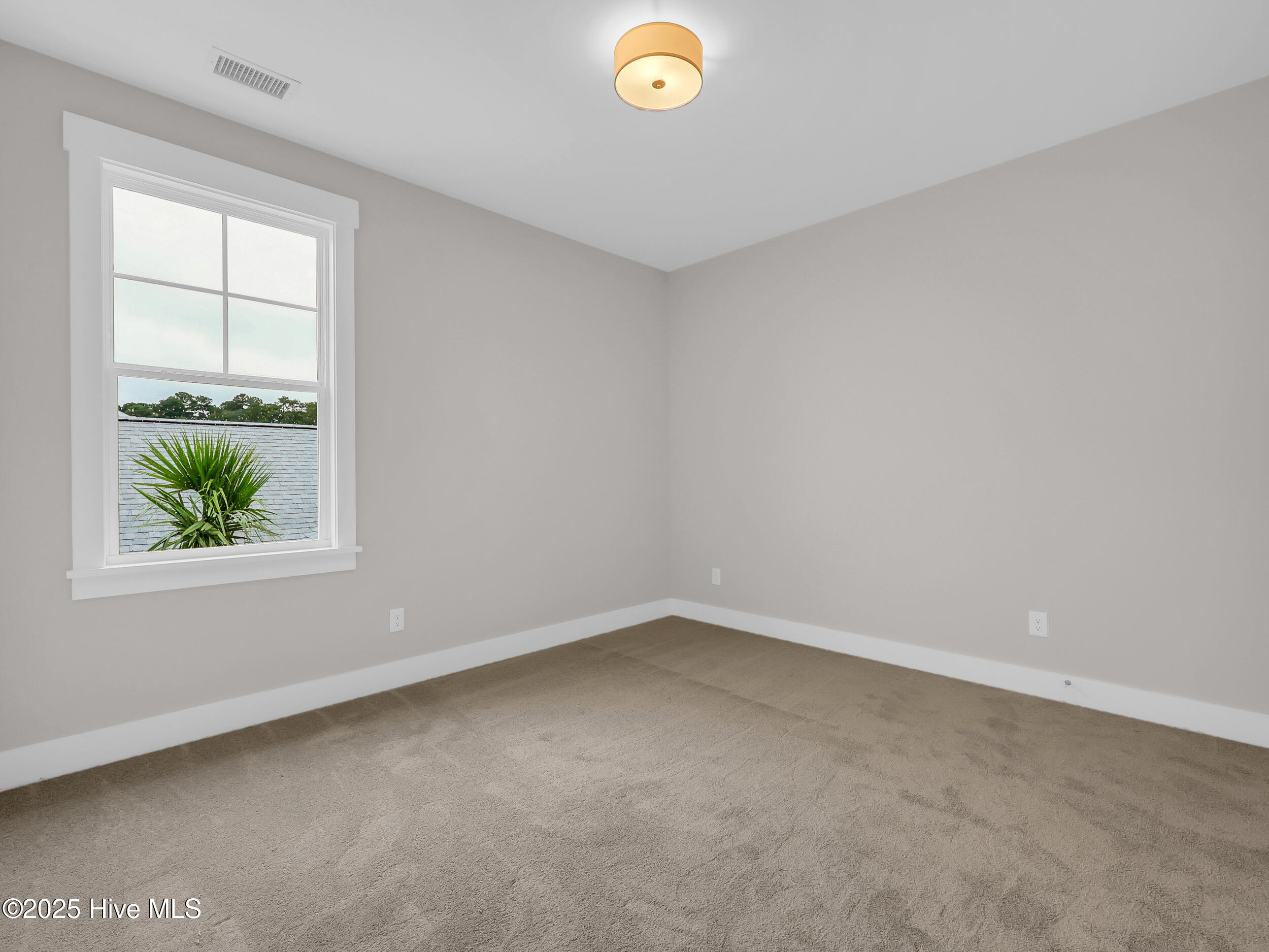 100533655 | Photo 26