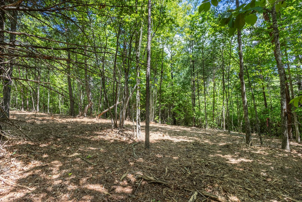 Exterior photo of 4.0 acre Donley Road, Murphy, NC 28906. MLS: 98544645
