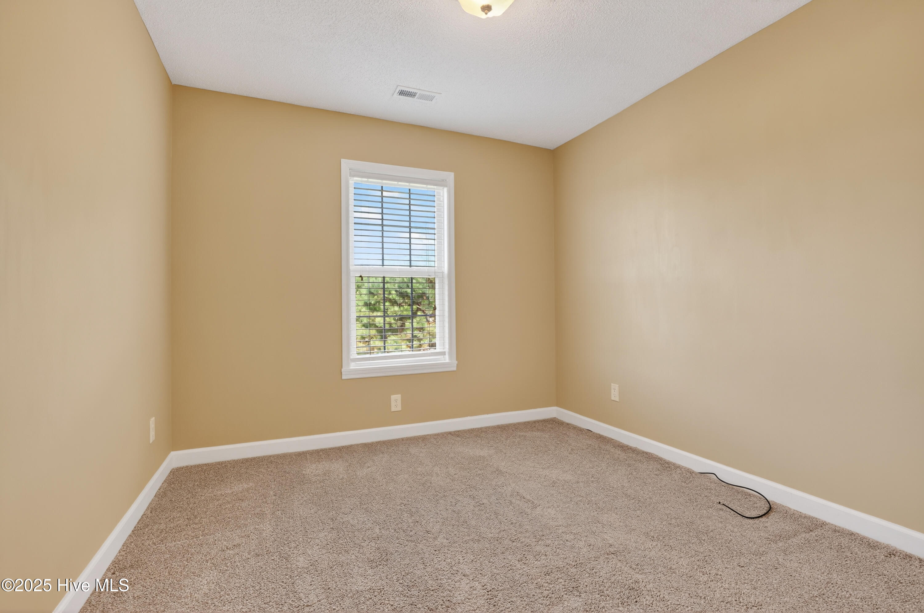 115 Tillett Lane, Sneads Ferry, NC 28460 – photo 13: 016_6G8A7164