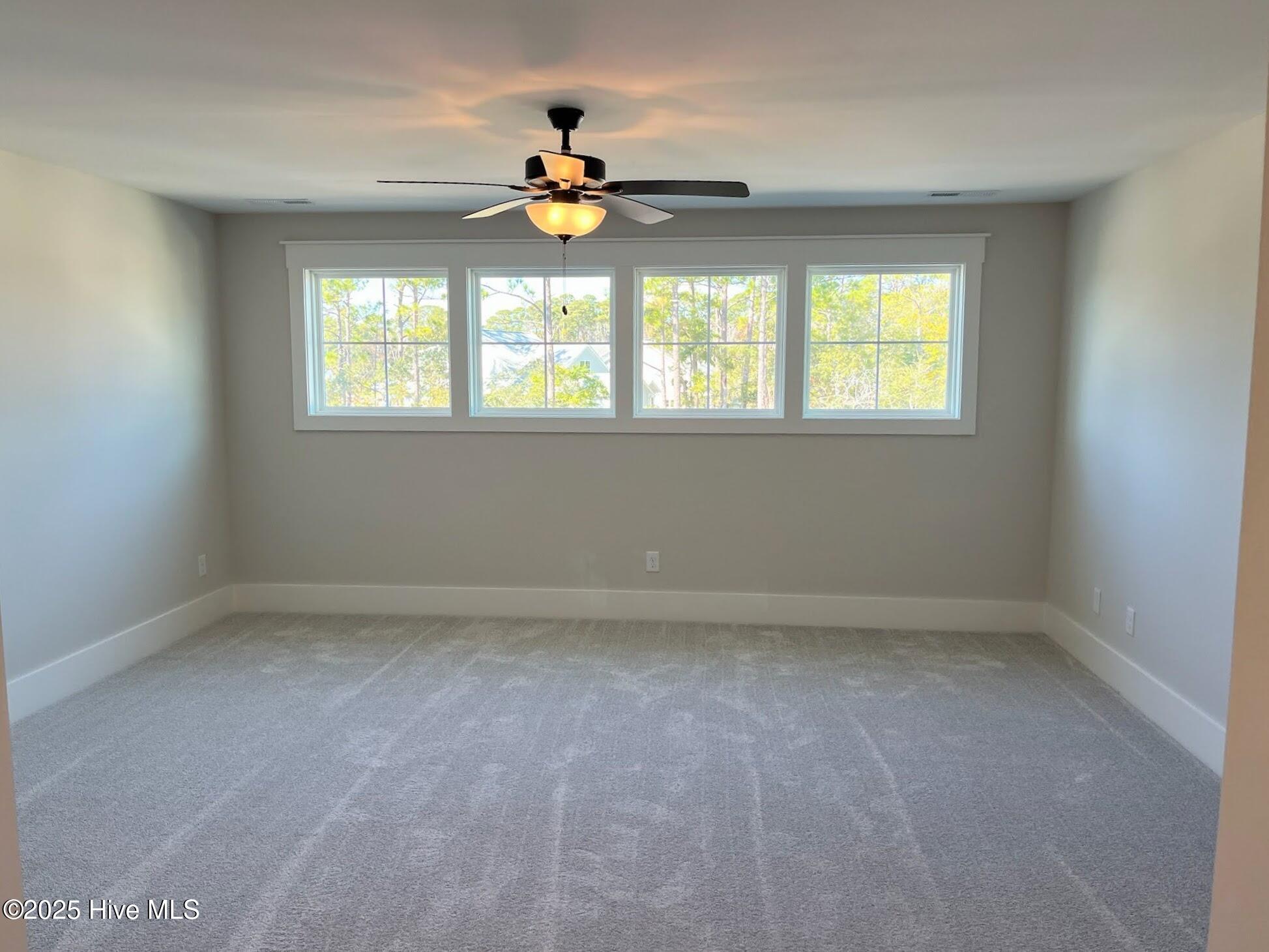 100510307 | Photo 21