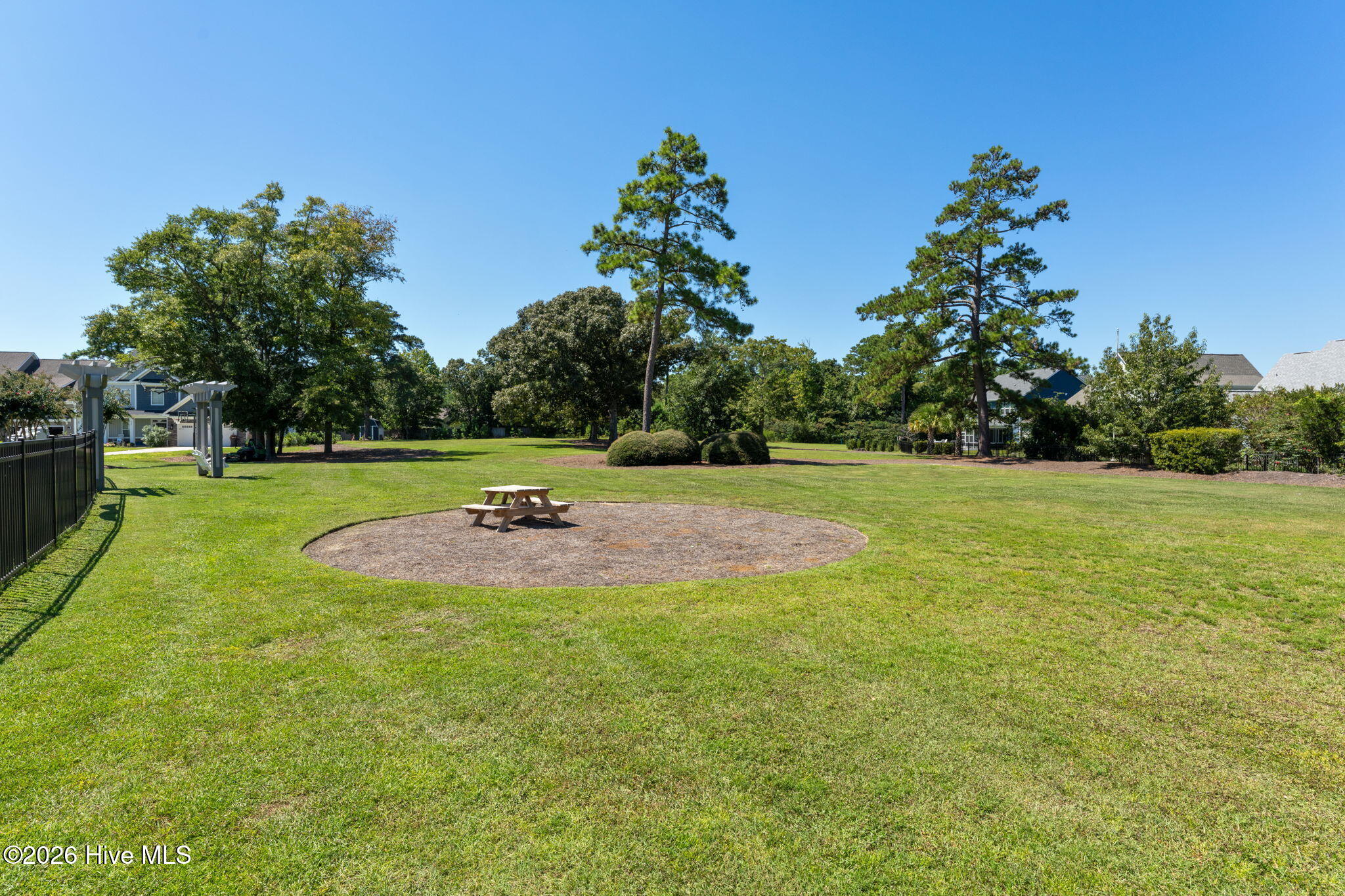 100564713 | Photo 67