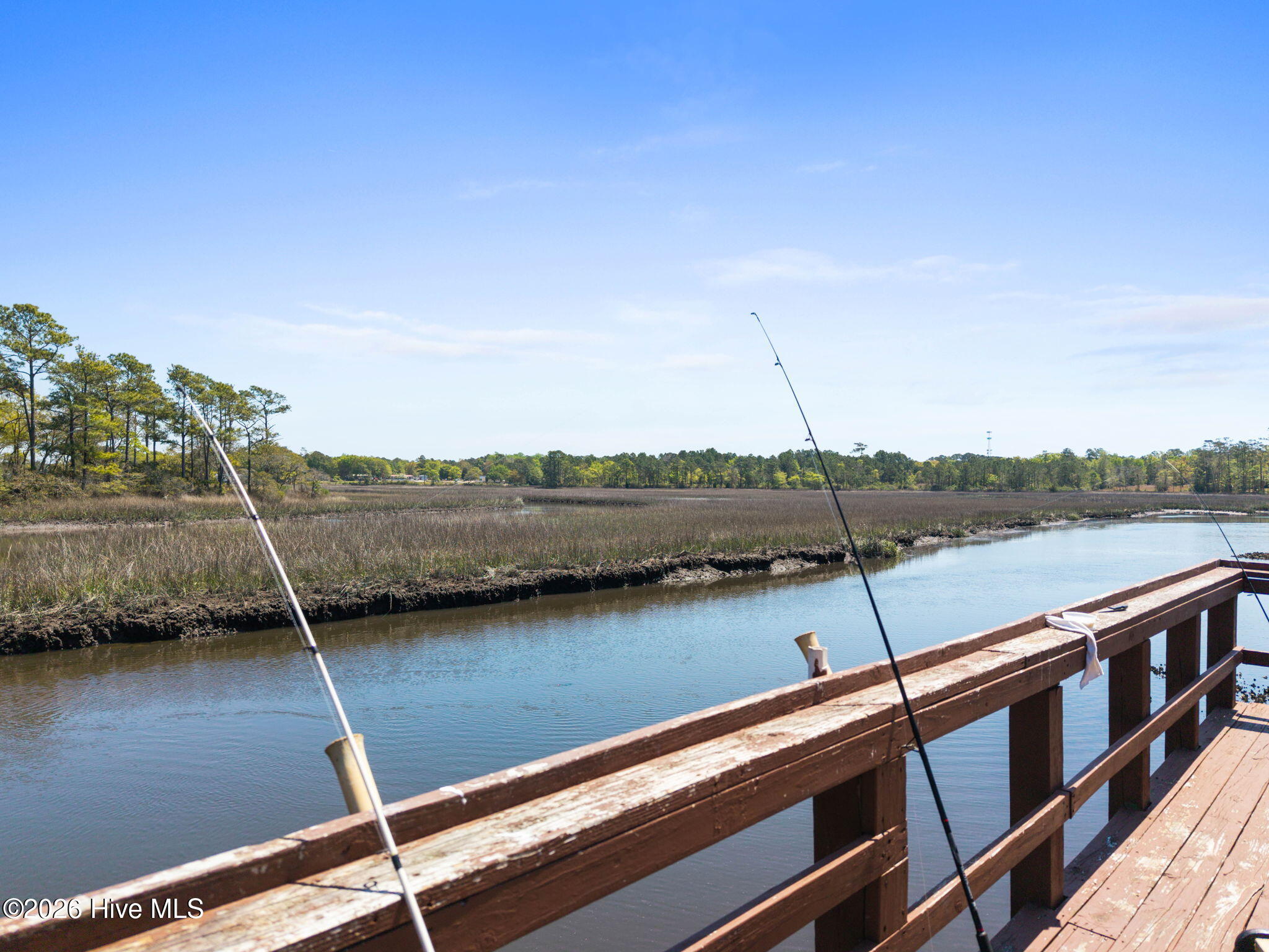 100565575 | Photo 28