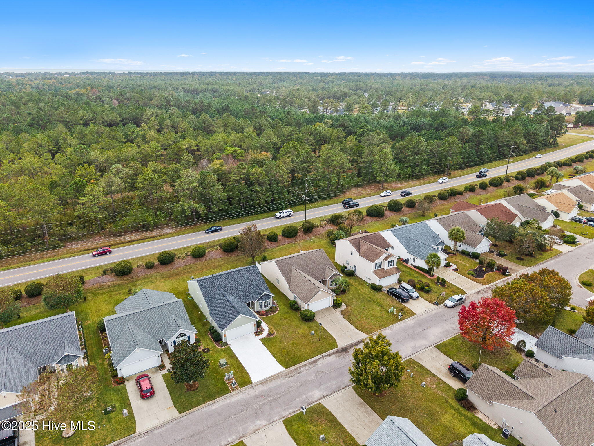 100536152 | Photo 20