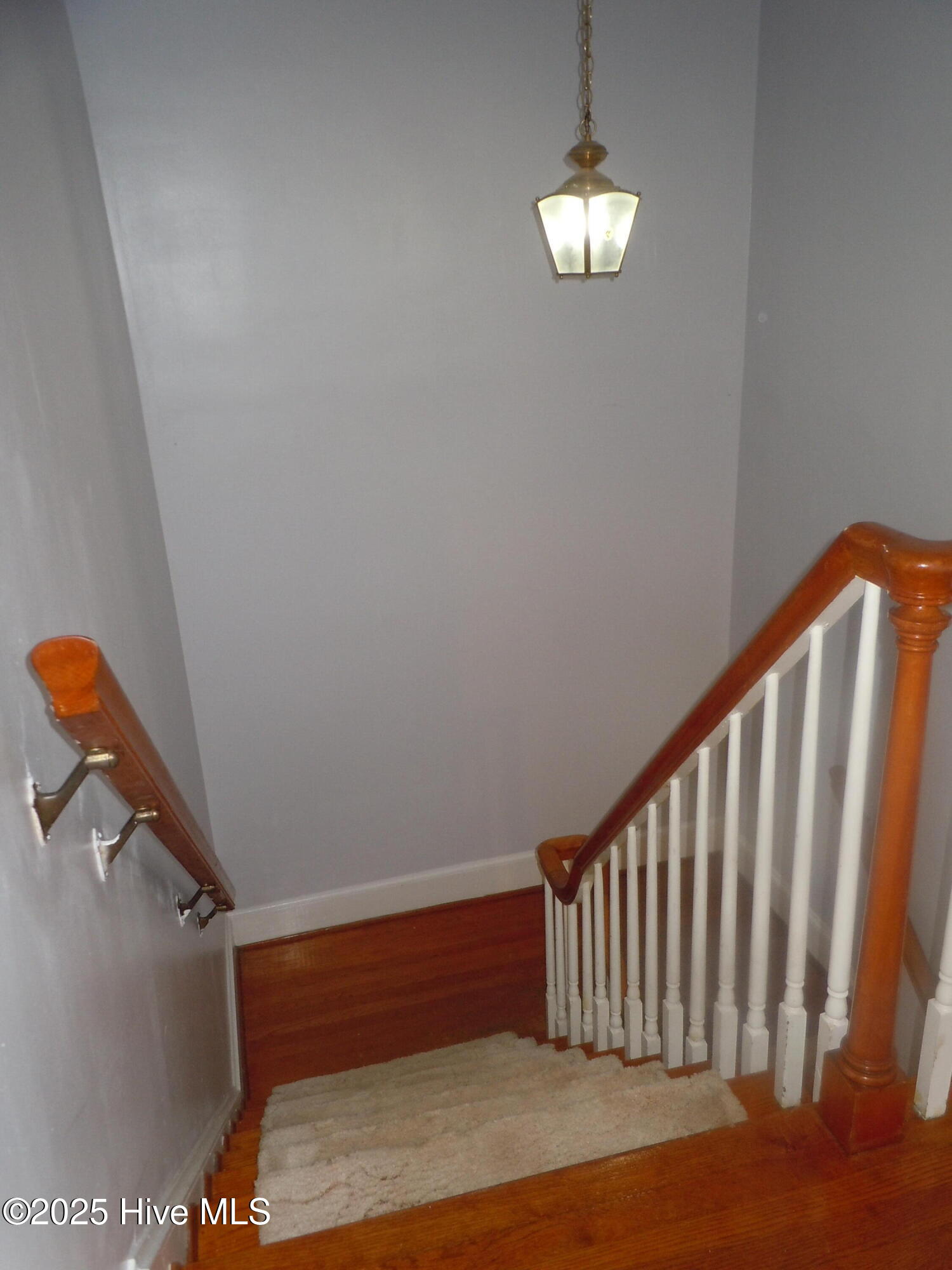 100536293 | Photo 53