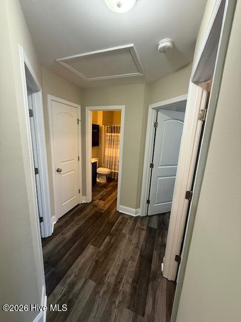 100568953 | Photo 17